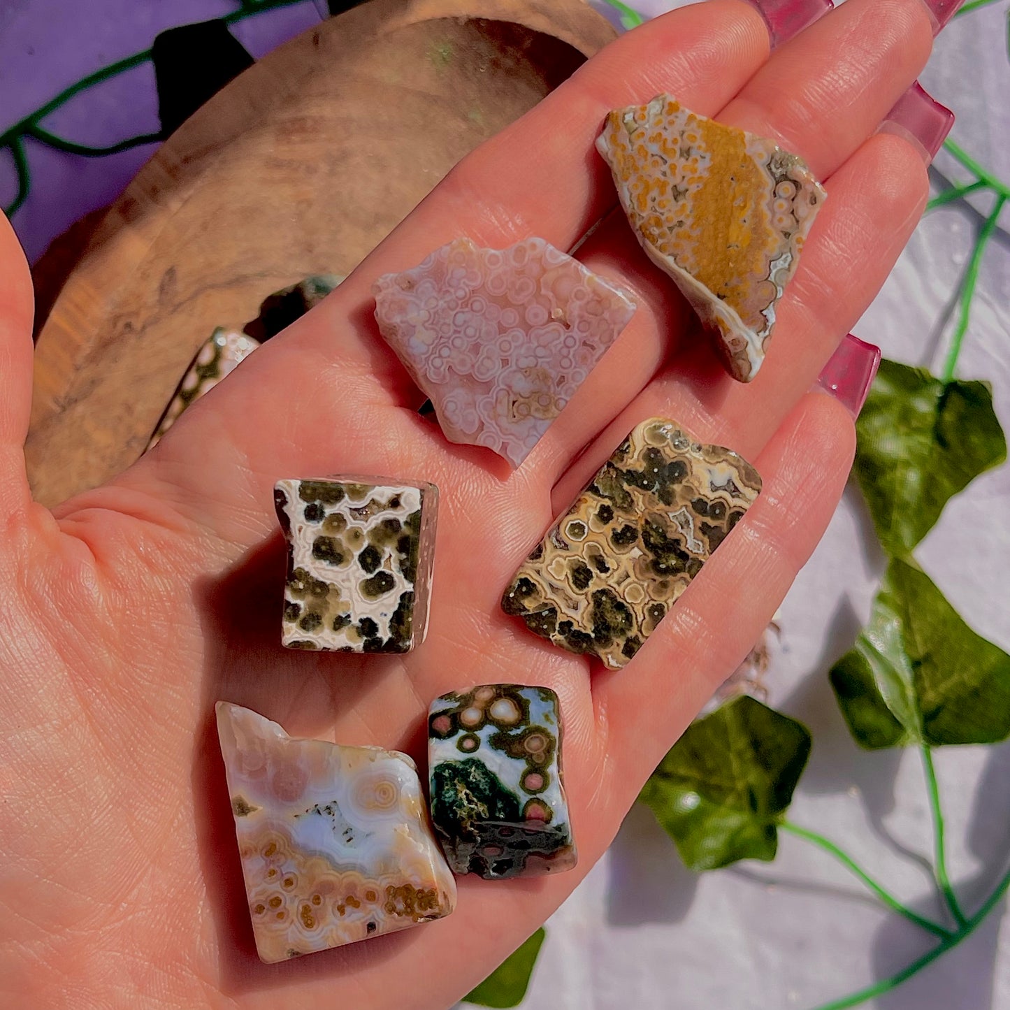 8th vein jasper freeform pieces ~ small