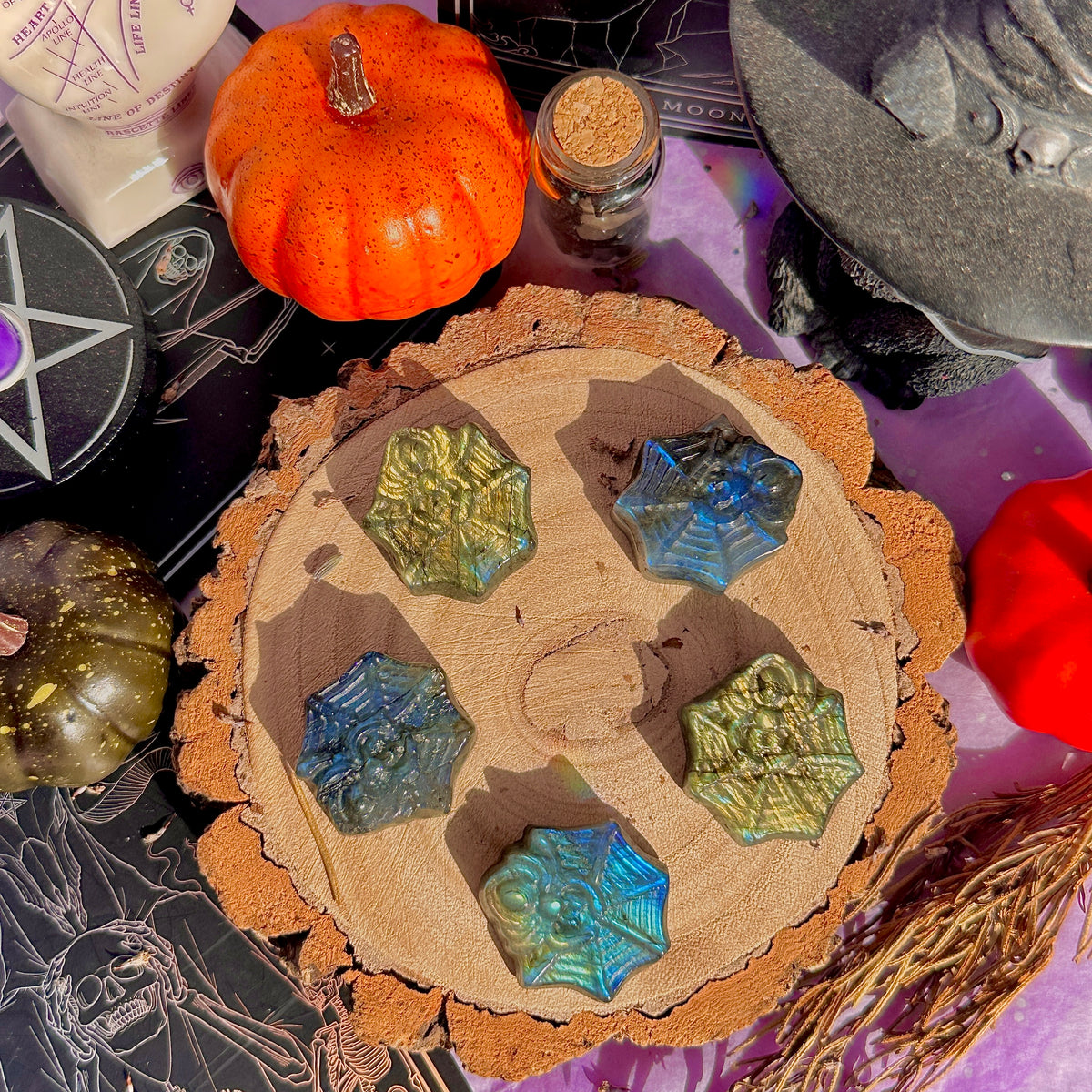 labradorite mini spider with carving ~ intuitively chosen