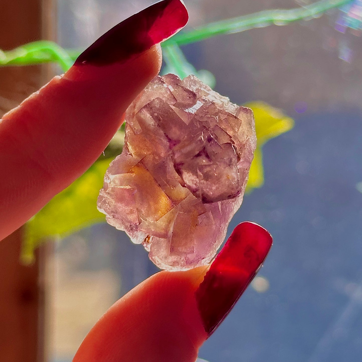 stalactitic UV cubic fluorite cluster specimen ~ choose your own