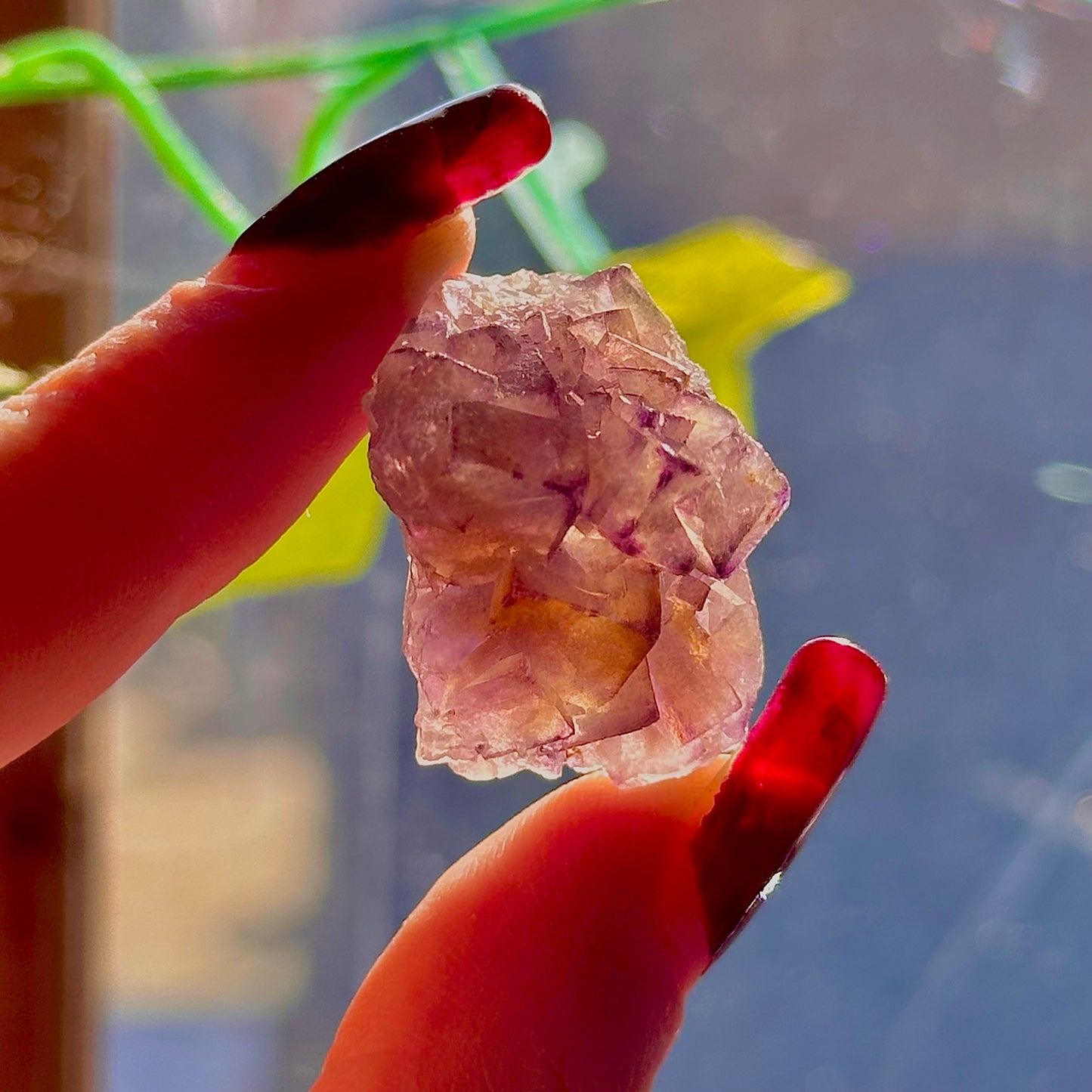 stalactitic UV cubic fluorite cluster specimen ~ choose your own