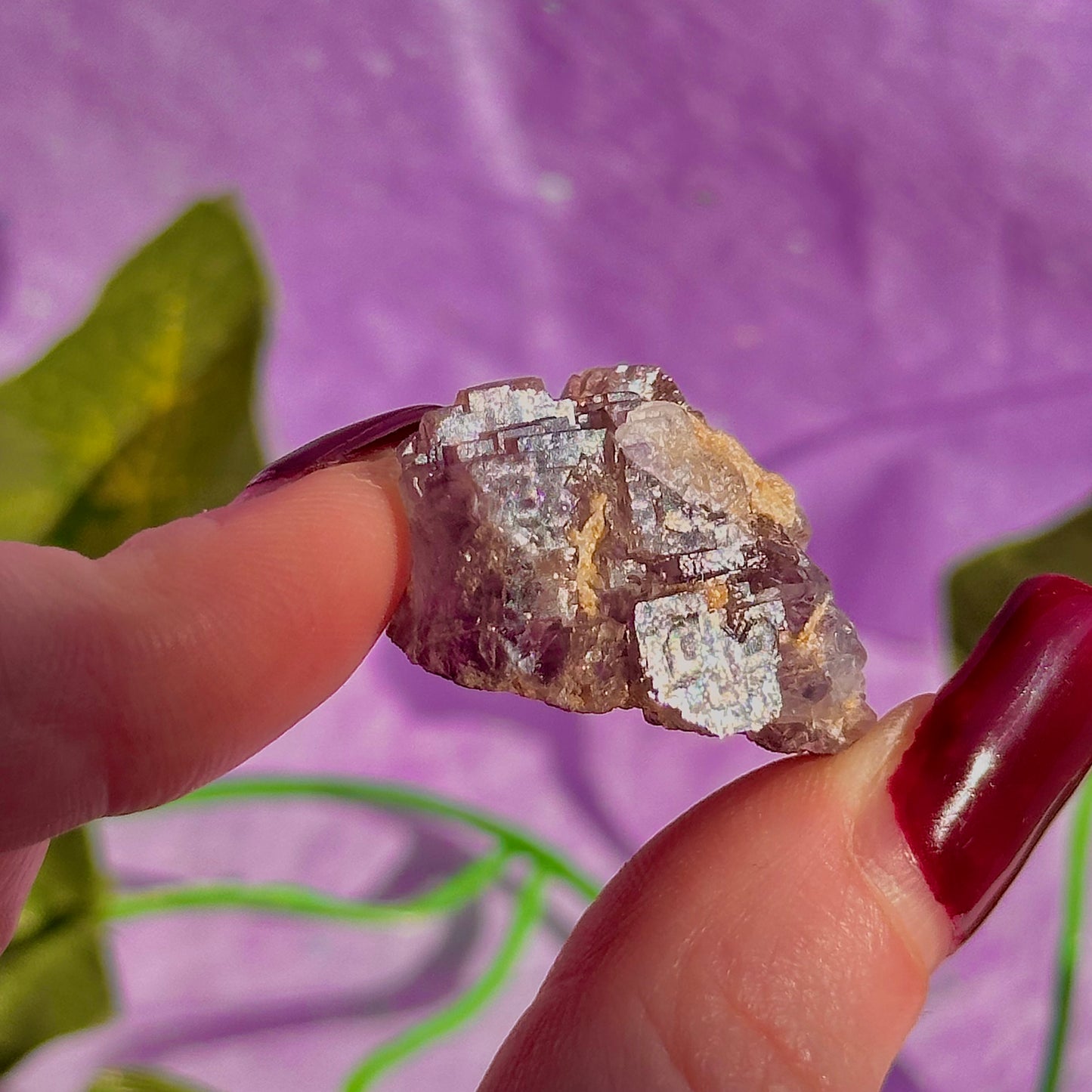 stalactitic UV cubic fluorite cluster specimen ~ choose your own