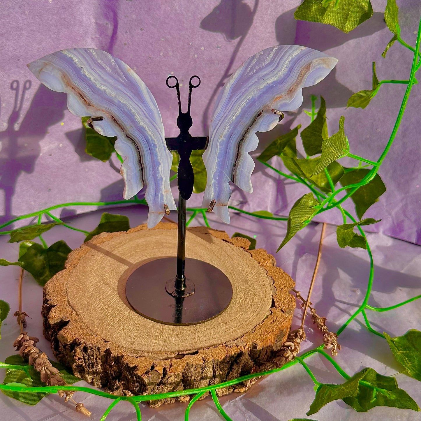 blue lace agate butterfly wings on stand B