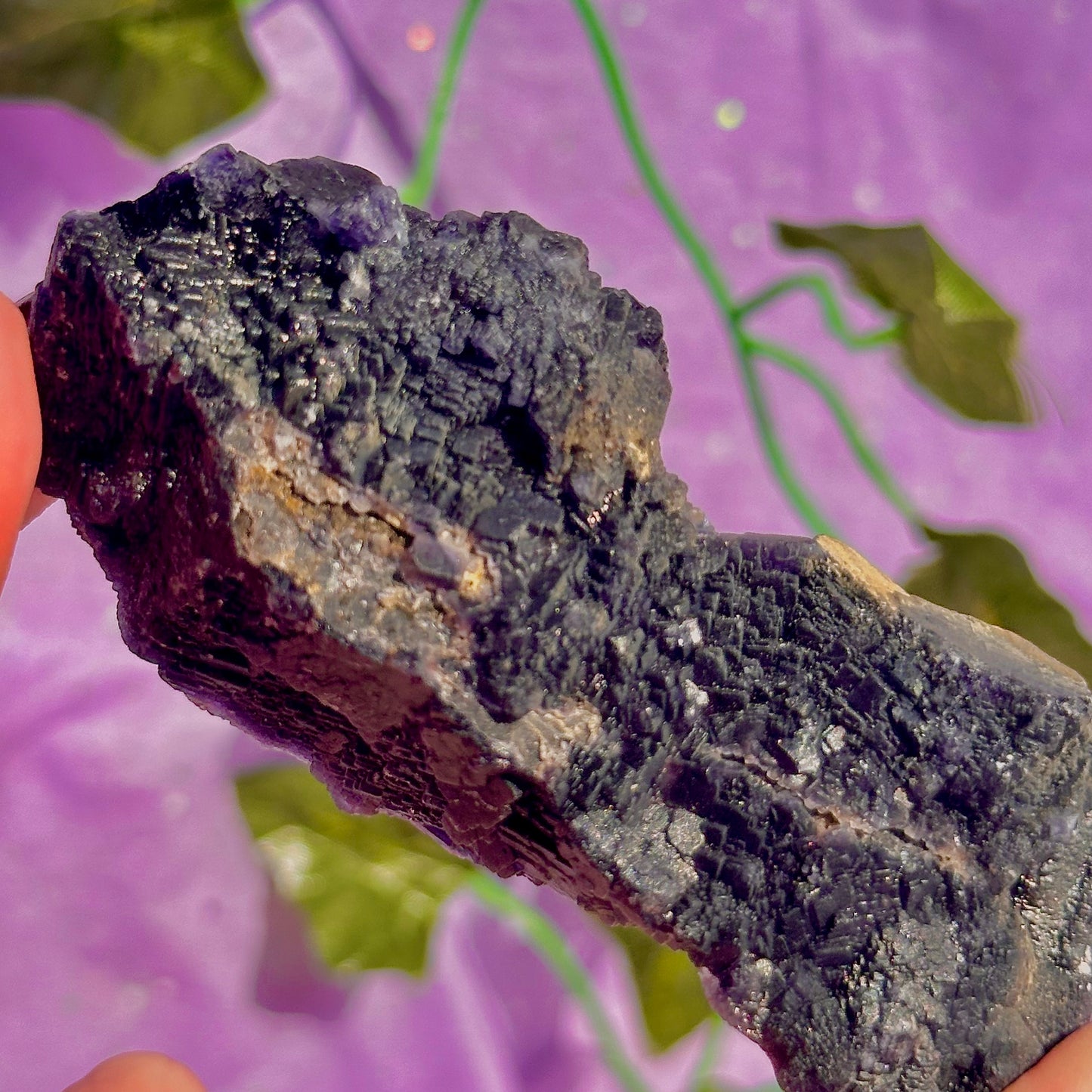 Spécimen de grappe cubique de fluorine rose noire UV