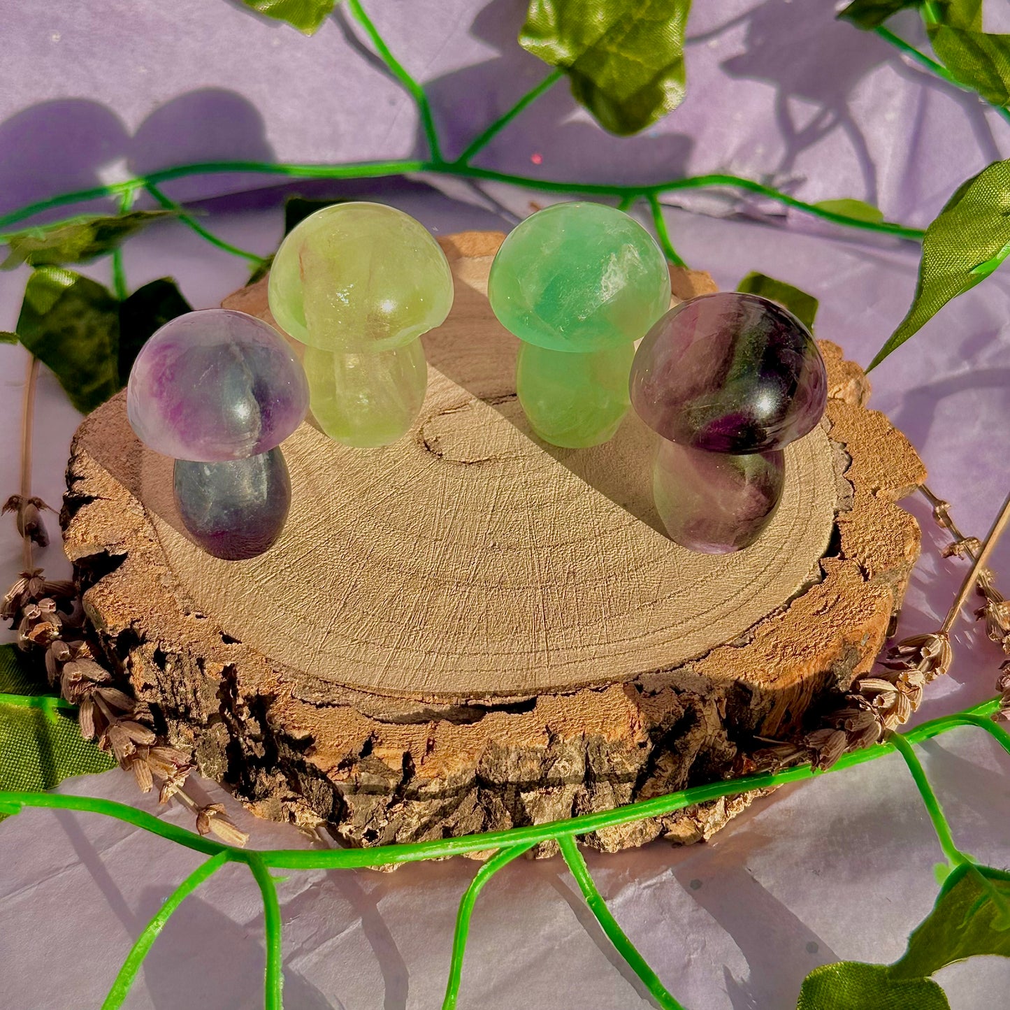 candy rainbow fluorite mushroom carvings ~ intuitively chosen