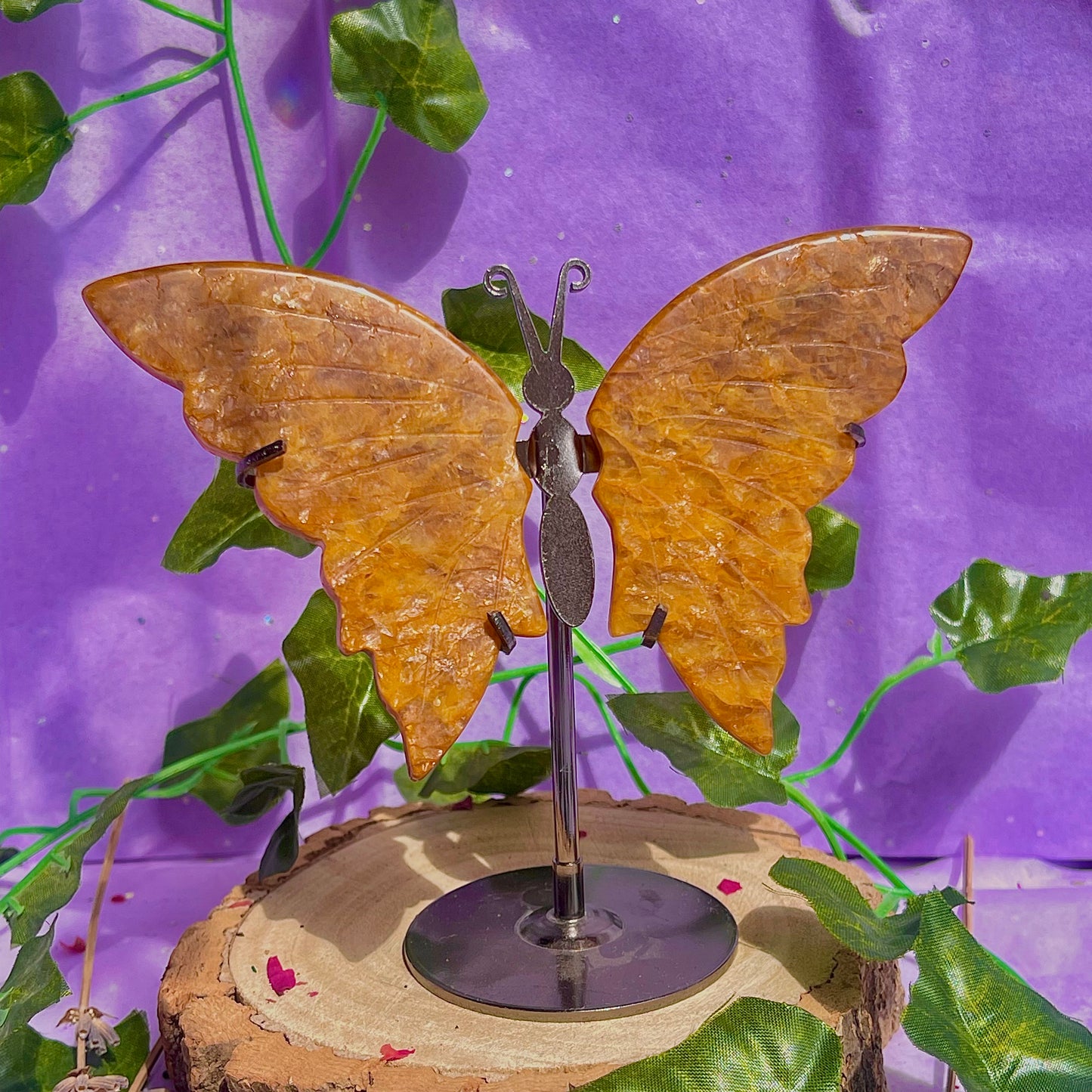 golden healer butterfly wings on stand