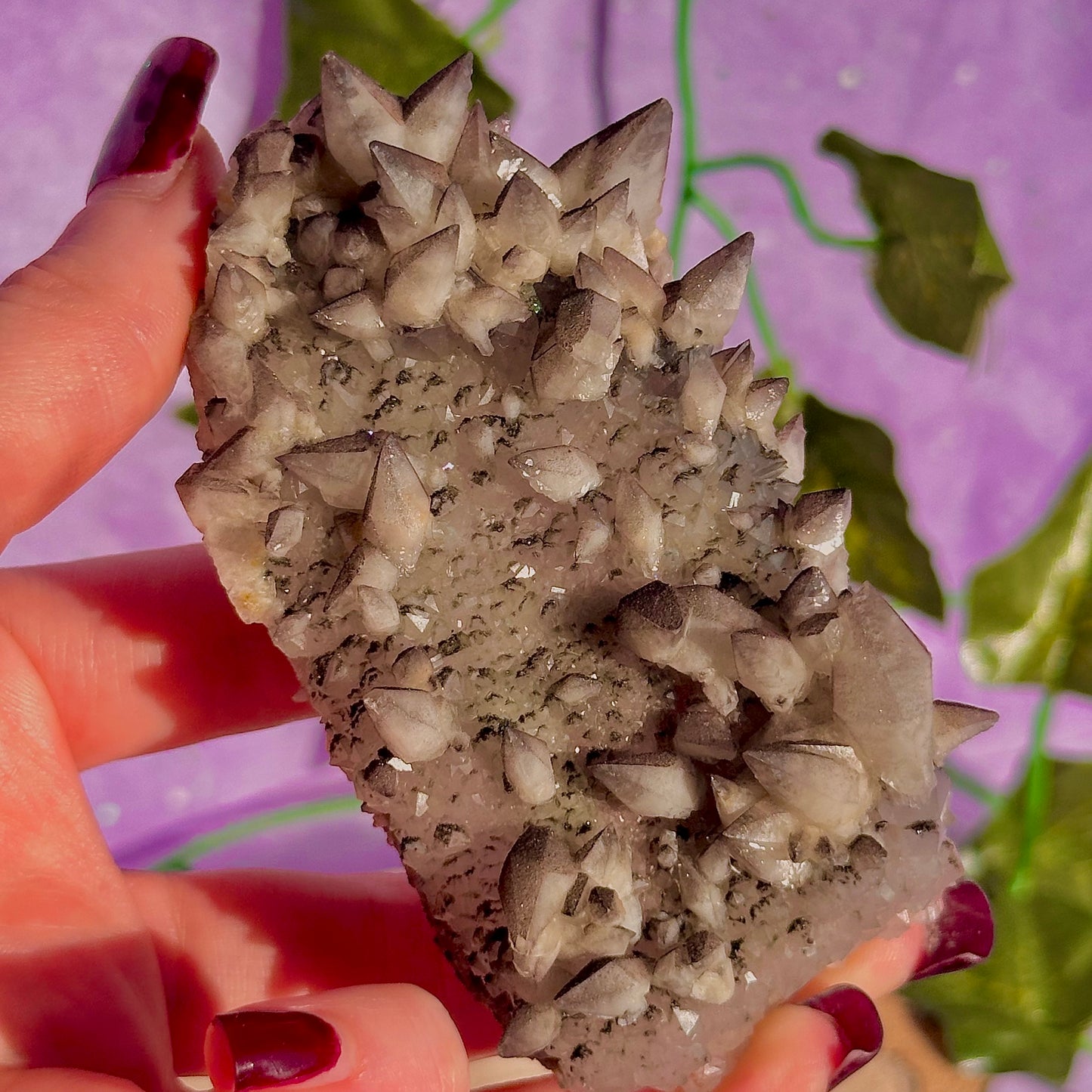 tigers tooth / dogs tooth calcite cluster specimen