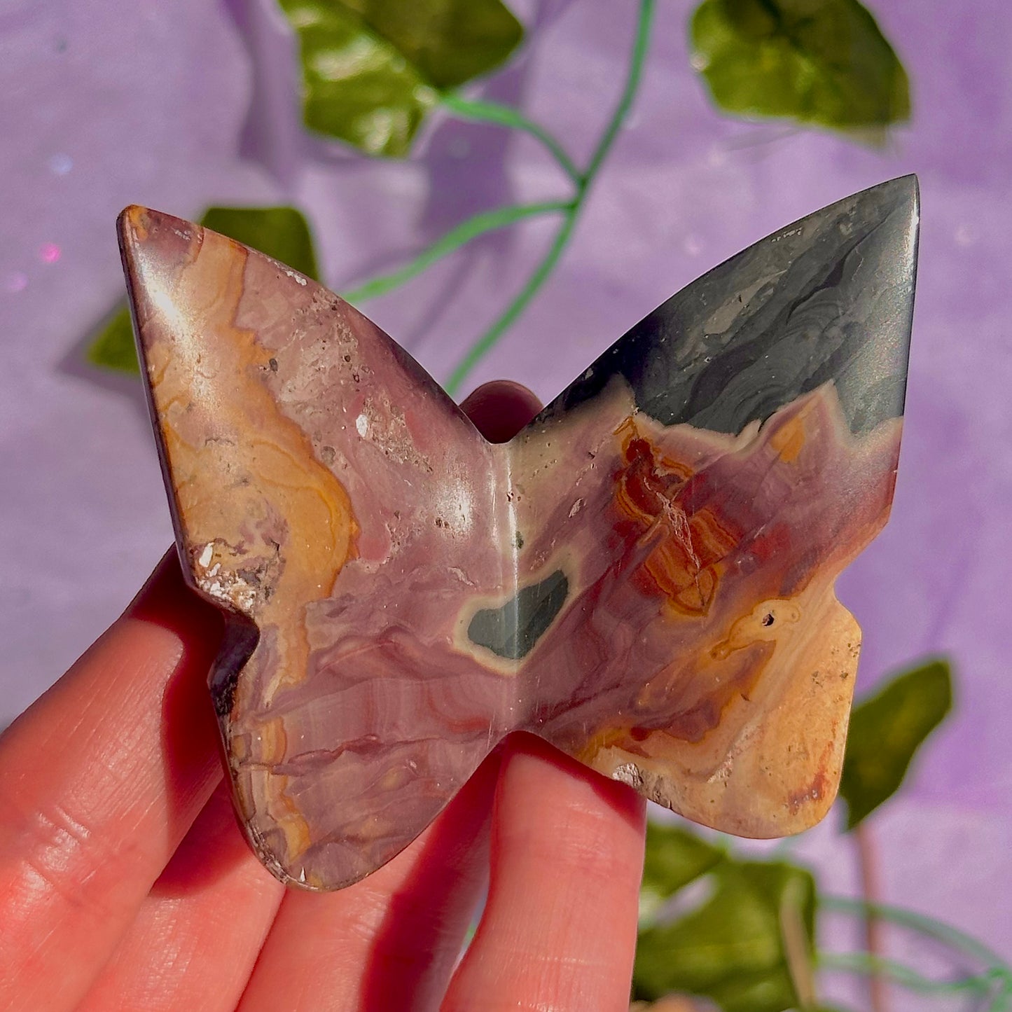 butterfly carving garden 3 ~ choose your own