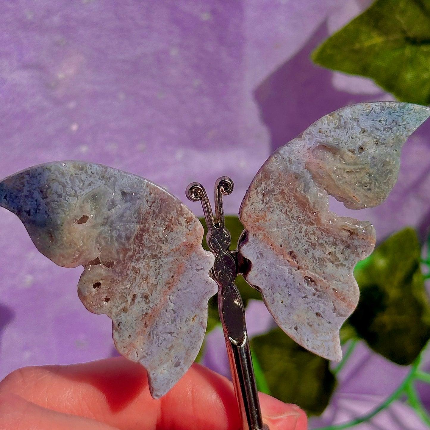 sea jasper butterflies on stand & dragon fly carving ~ choose your own