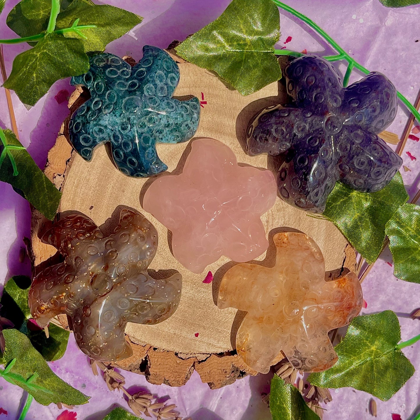 mixed starfish carvings ~ choose your own