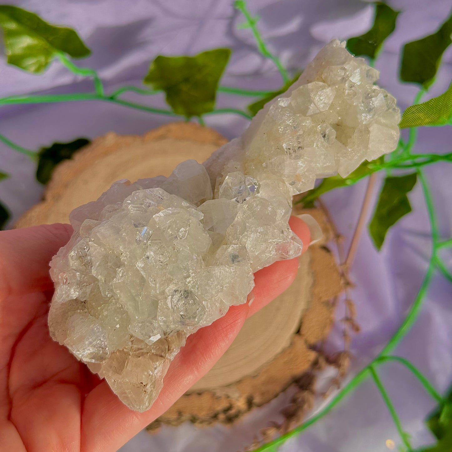 apophyllite specimen cluster