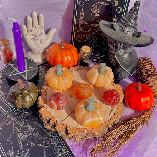 pumpkin carving farm ~ choose your pumpkin