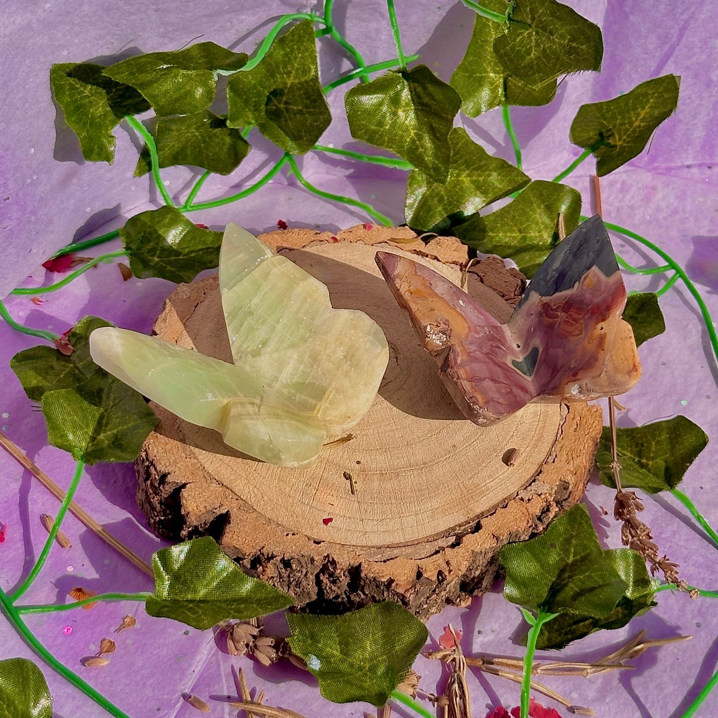 butterfly carving garden 3 ~ choose your own