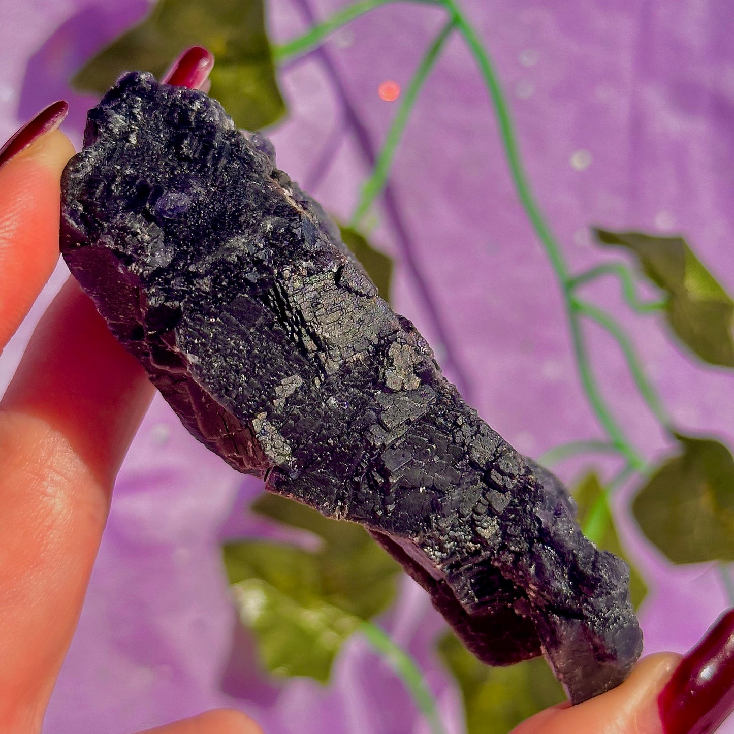 Spécimen de grappe cubique de fluorine rose noire UV