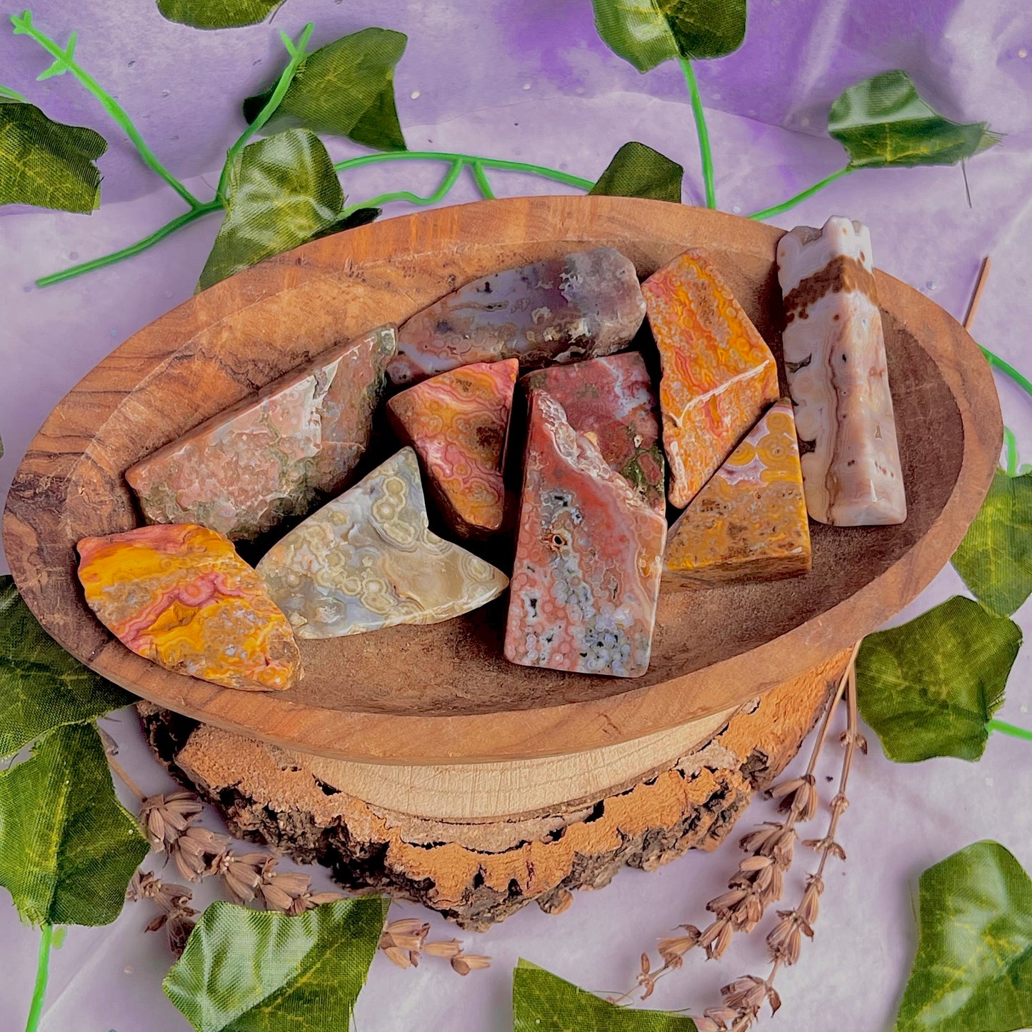 8th vein jasper freeform pieces ~ medium