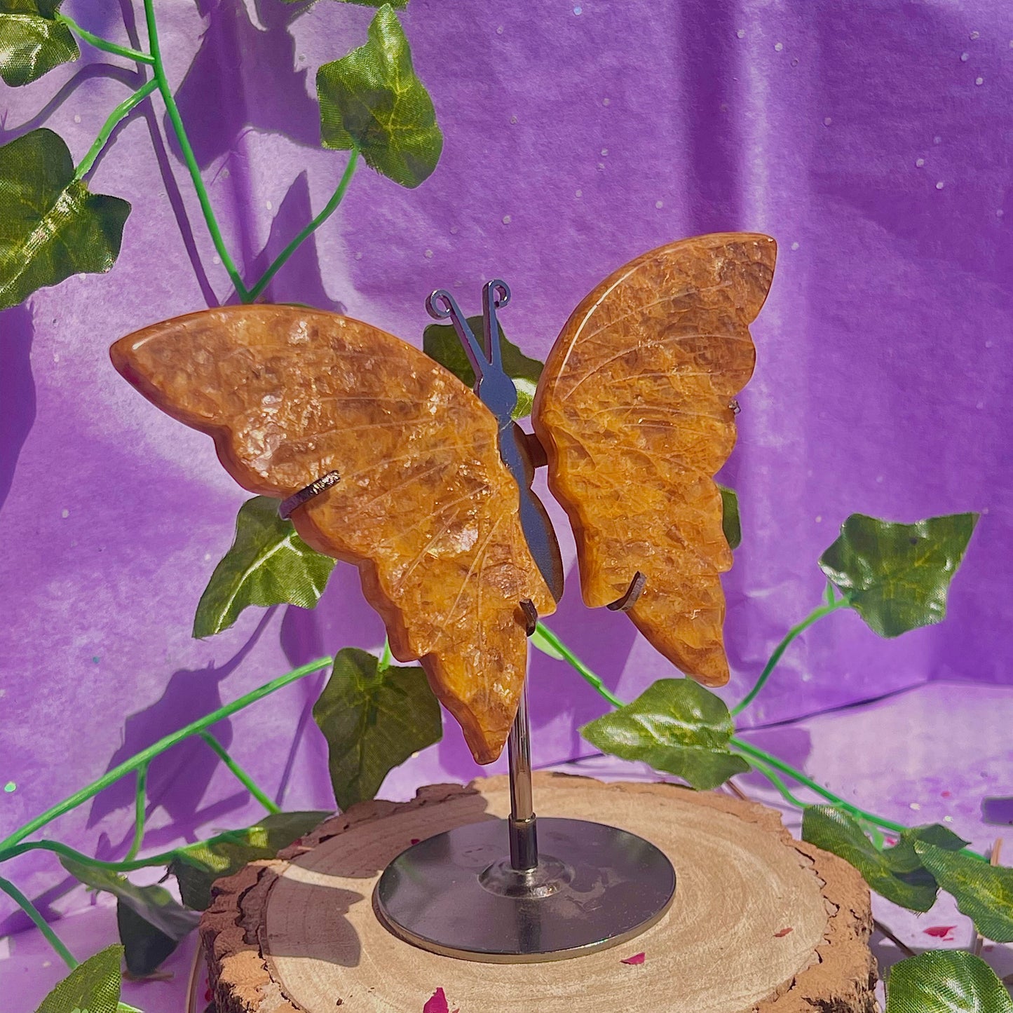 golden healer butterfly wings on stand