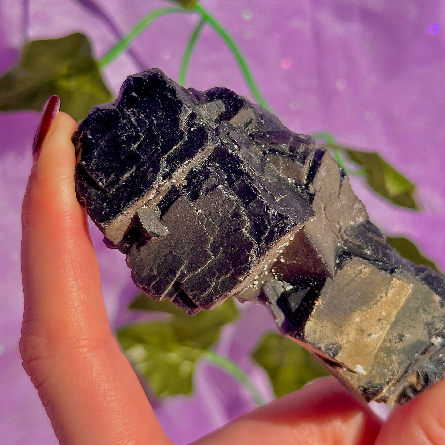 Spécimen de grappe cubique de fluorine rose noire UV