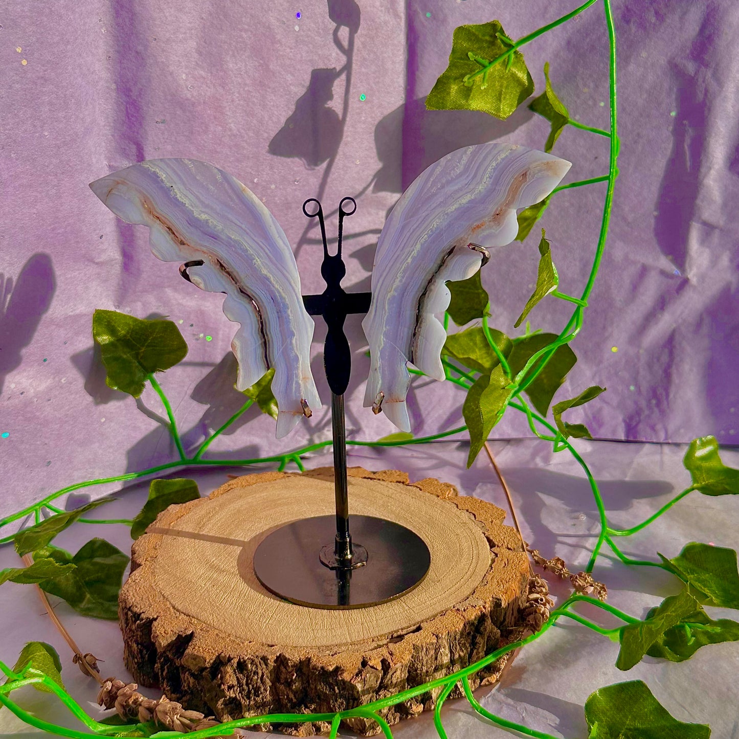 blue lace agate butterfly wings on stand B