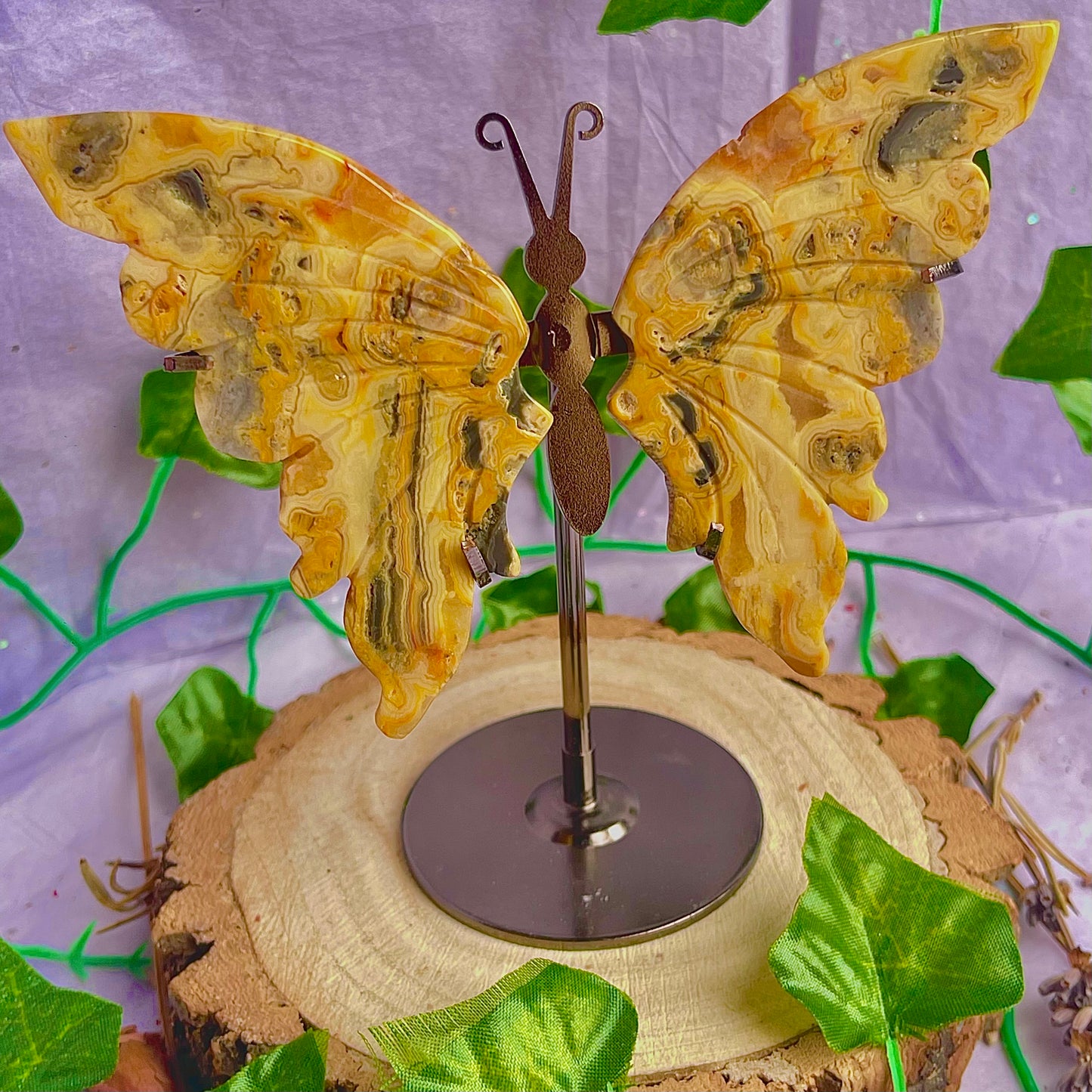 crazy lace agate butterfly wings on stand
