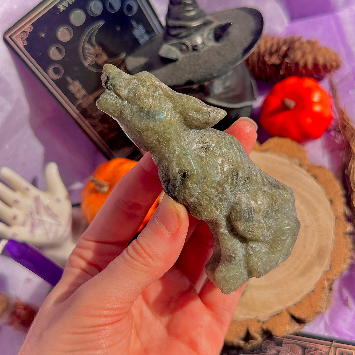 halloween carvings ~ choose your own