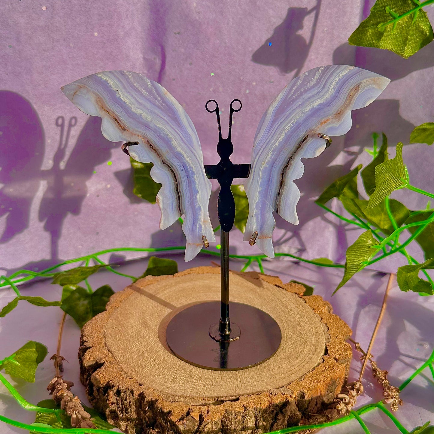 blue lace agate butterfly wings on stand B