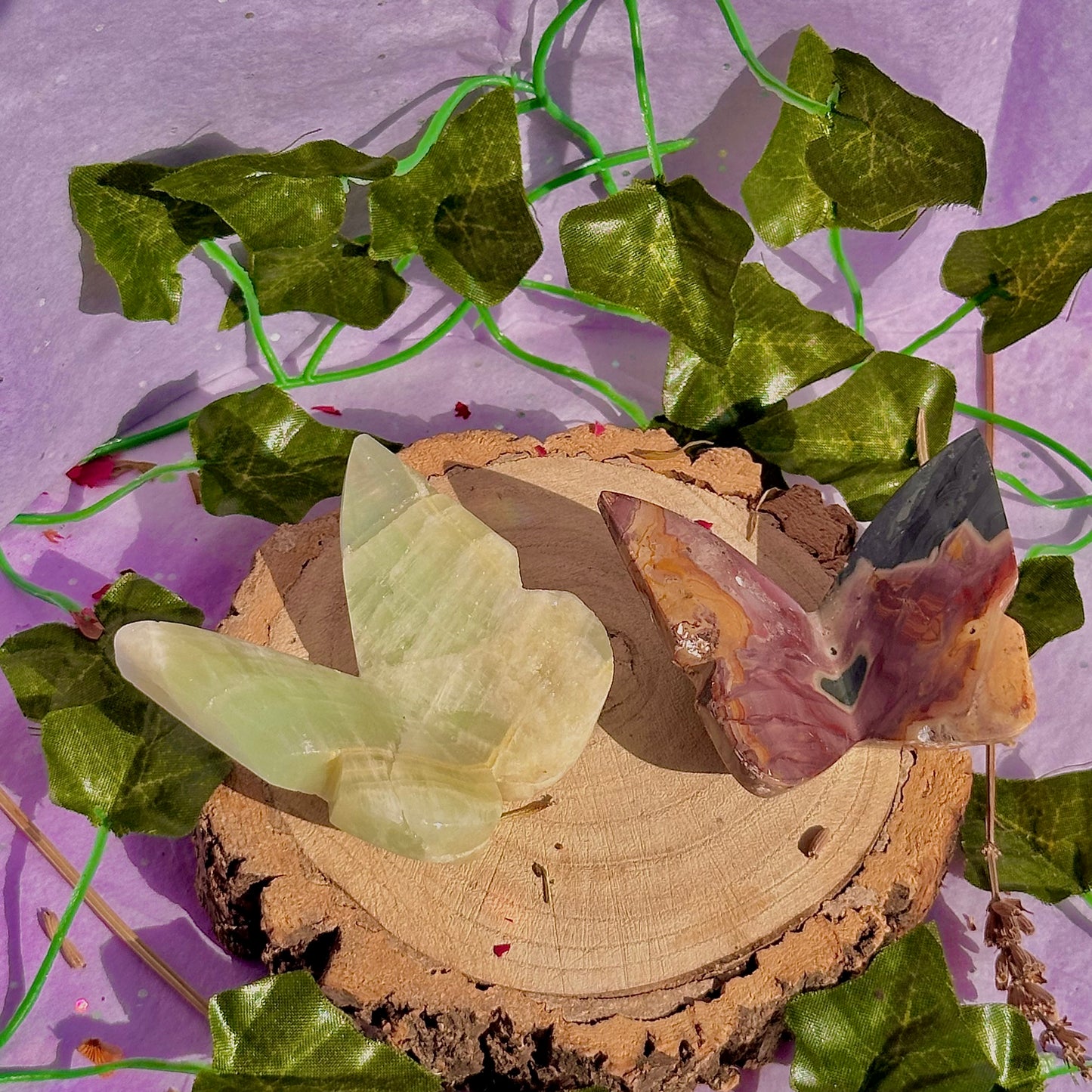 butterfly carving garden 3 ~ choose your own