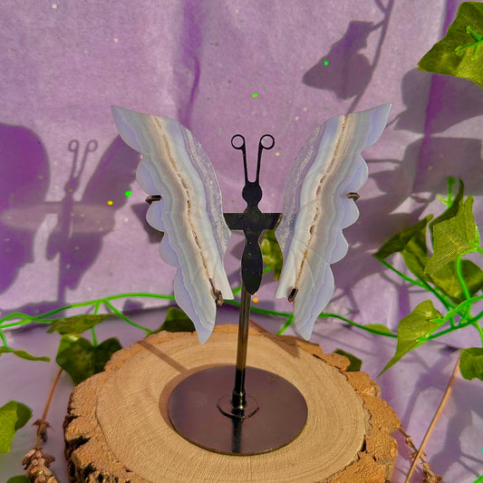 blue lace agate butterfly wings on stand A