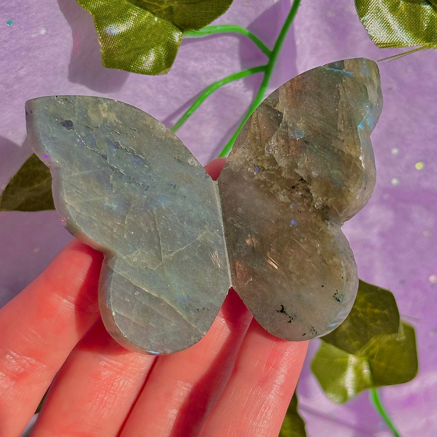 butterfly carving garden 1 ~ choose your own
