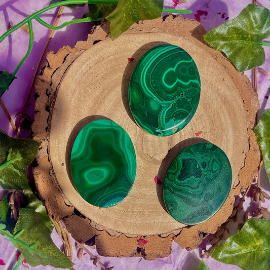 malachite palm stone ~ intuitively chosen