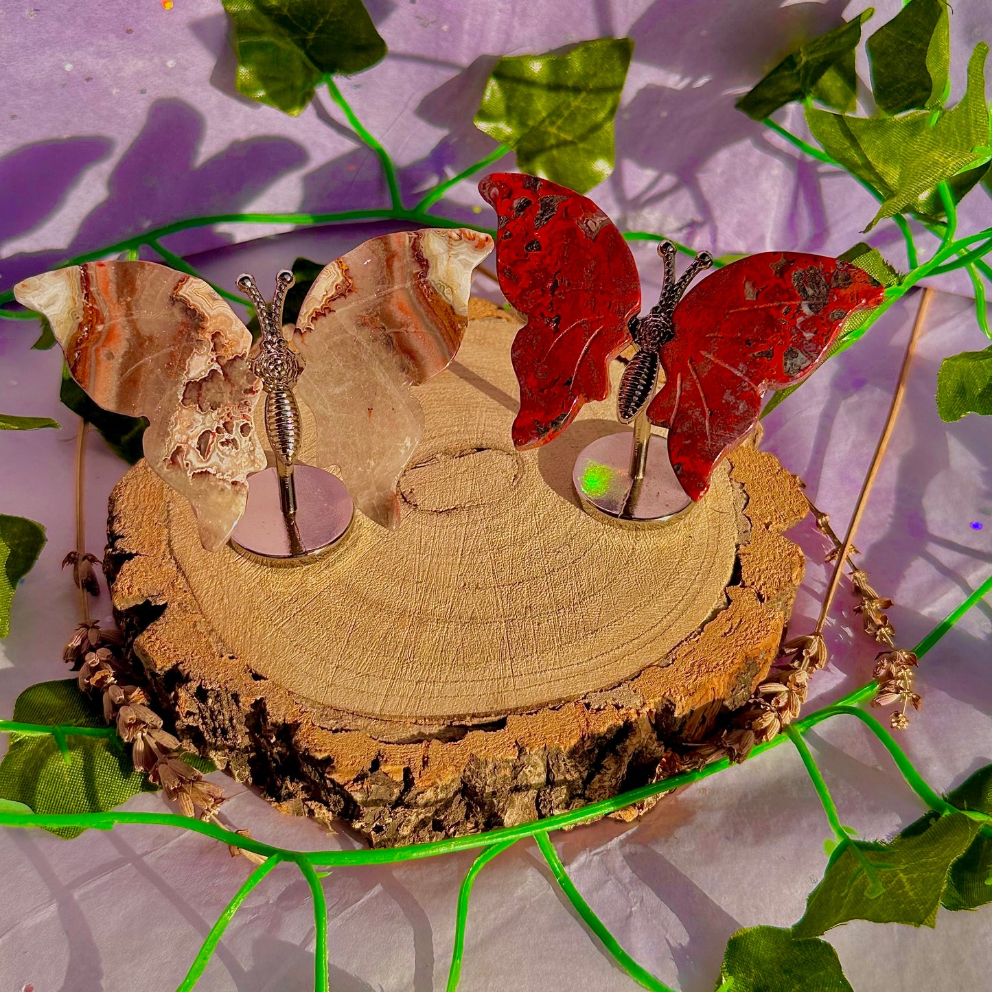 small butterfly wings on stand A ~ choose your own