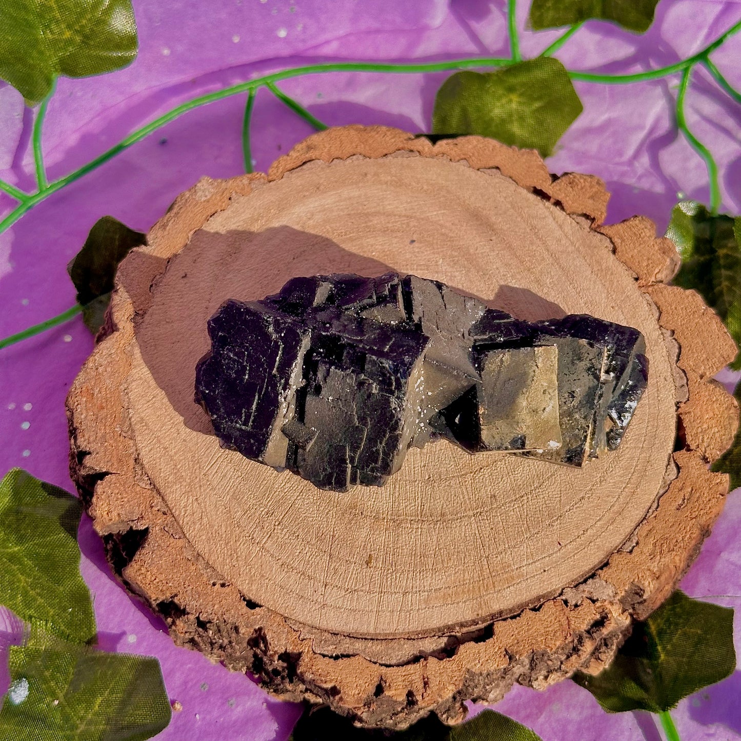 Spécimen de grappe cubique de fluorine rose noire UV