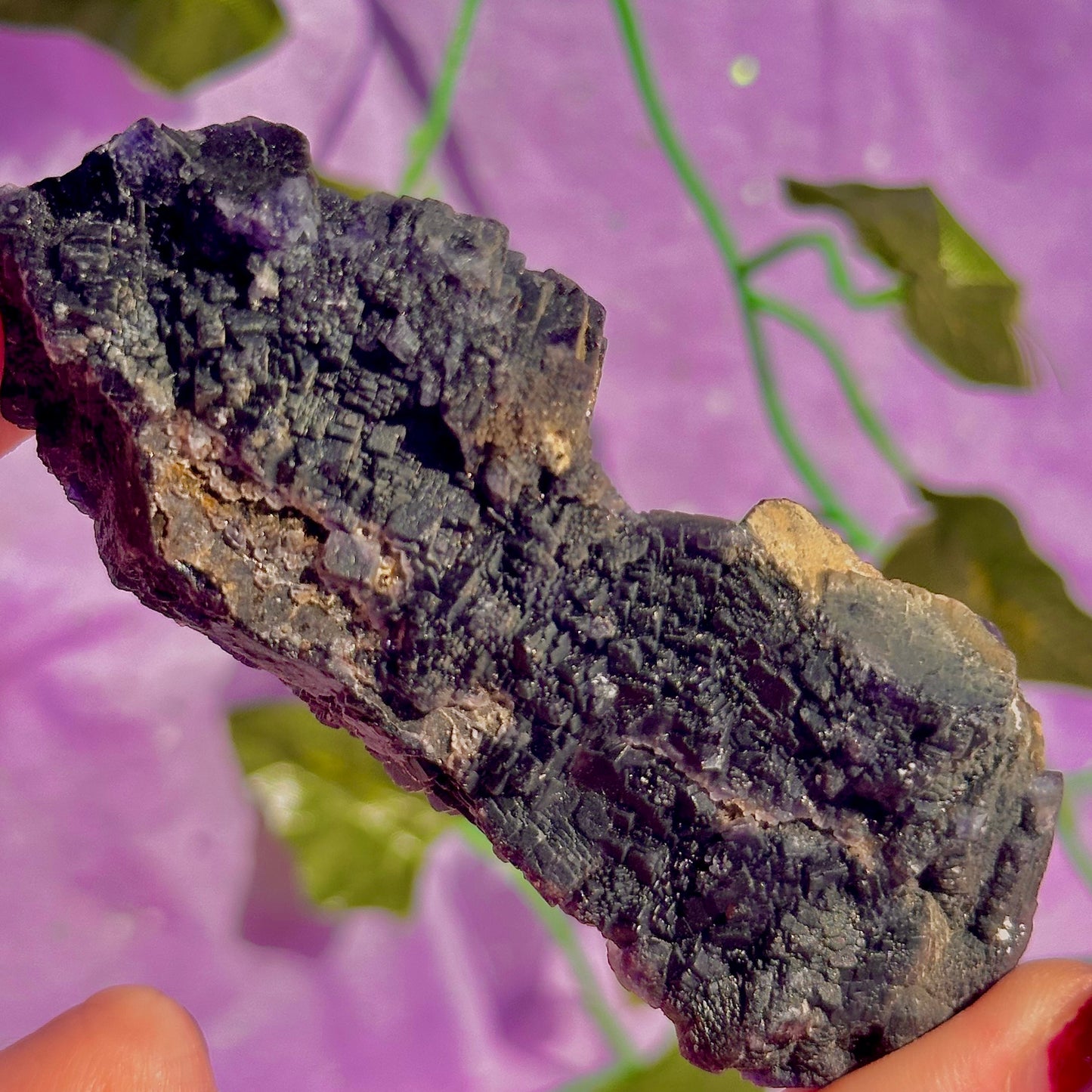 Spécimen de grappe cubique de fluorine rose noire UV