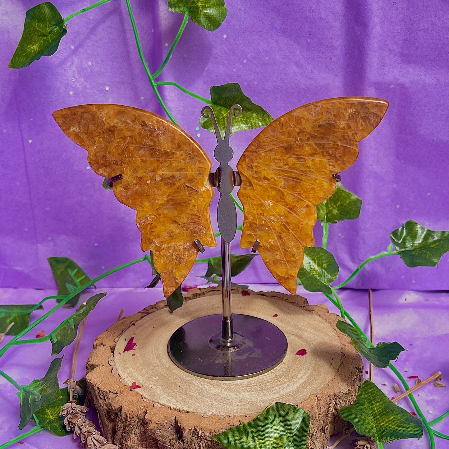 golden healer butterfly wings on stand