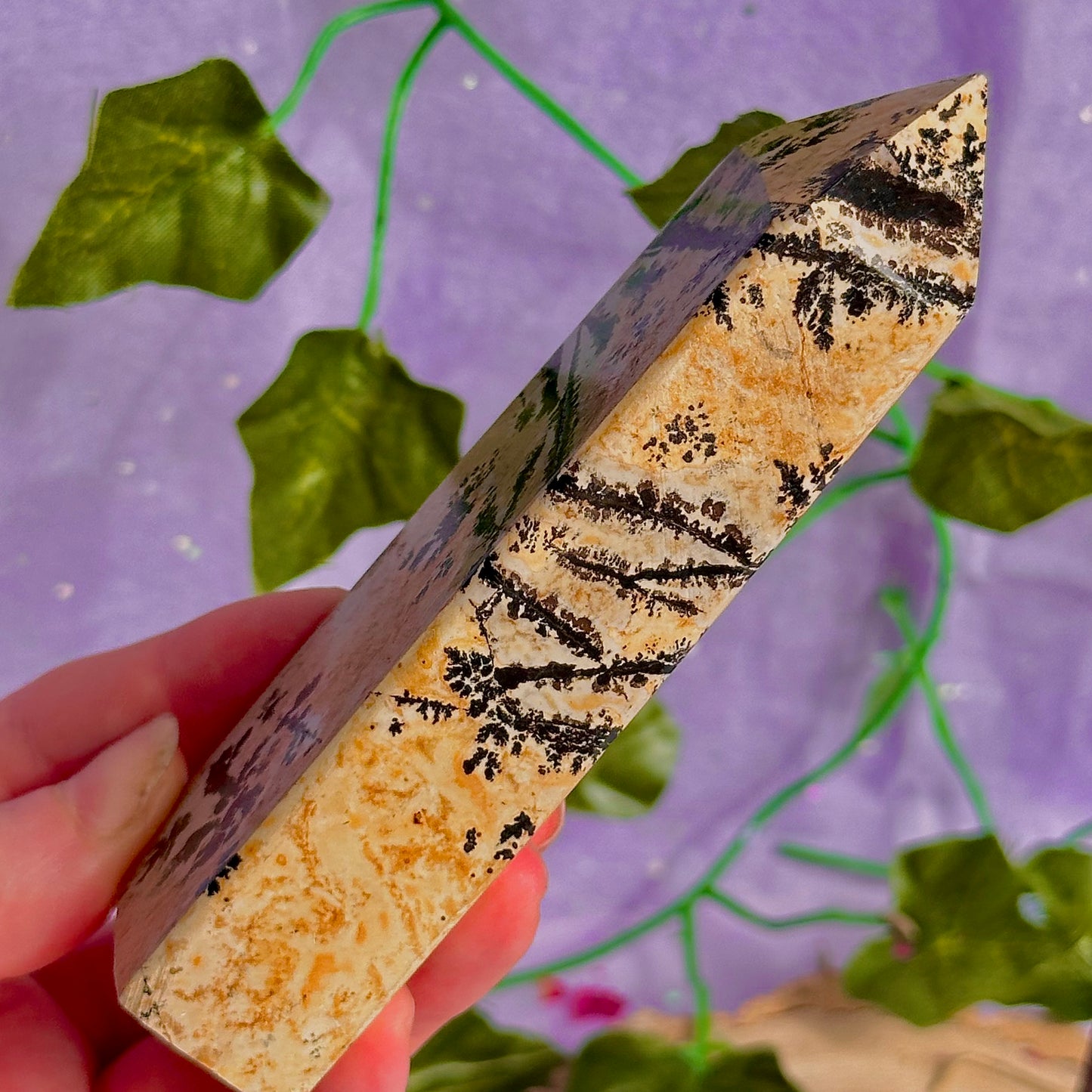 picture jasper towers ~ choose your own