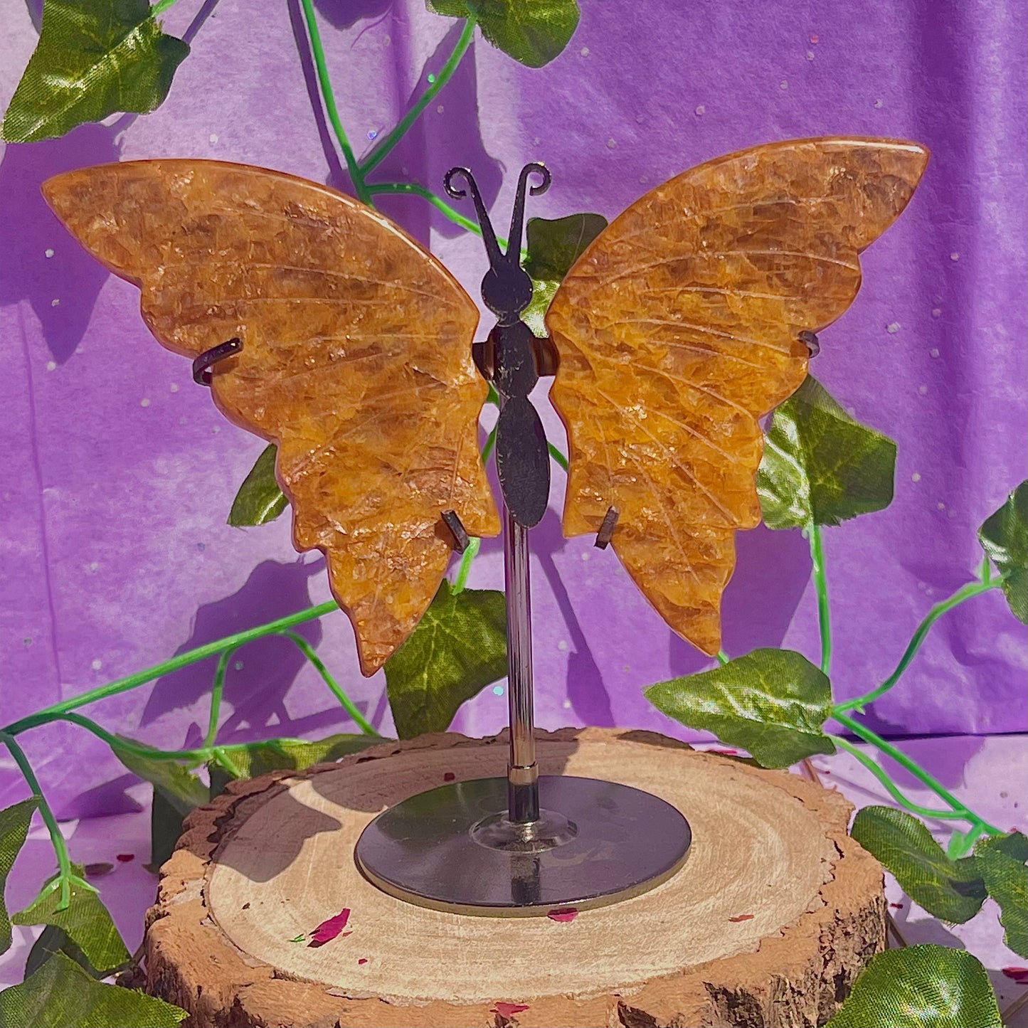 golden healer butterfly wings on stand