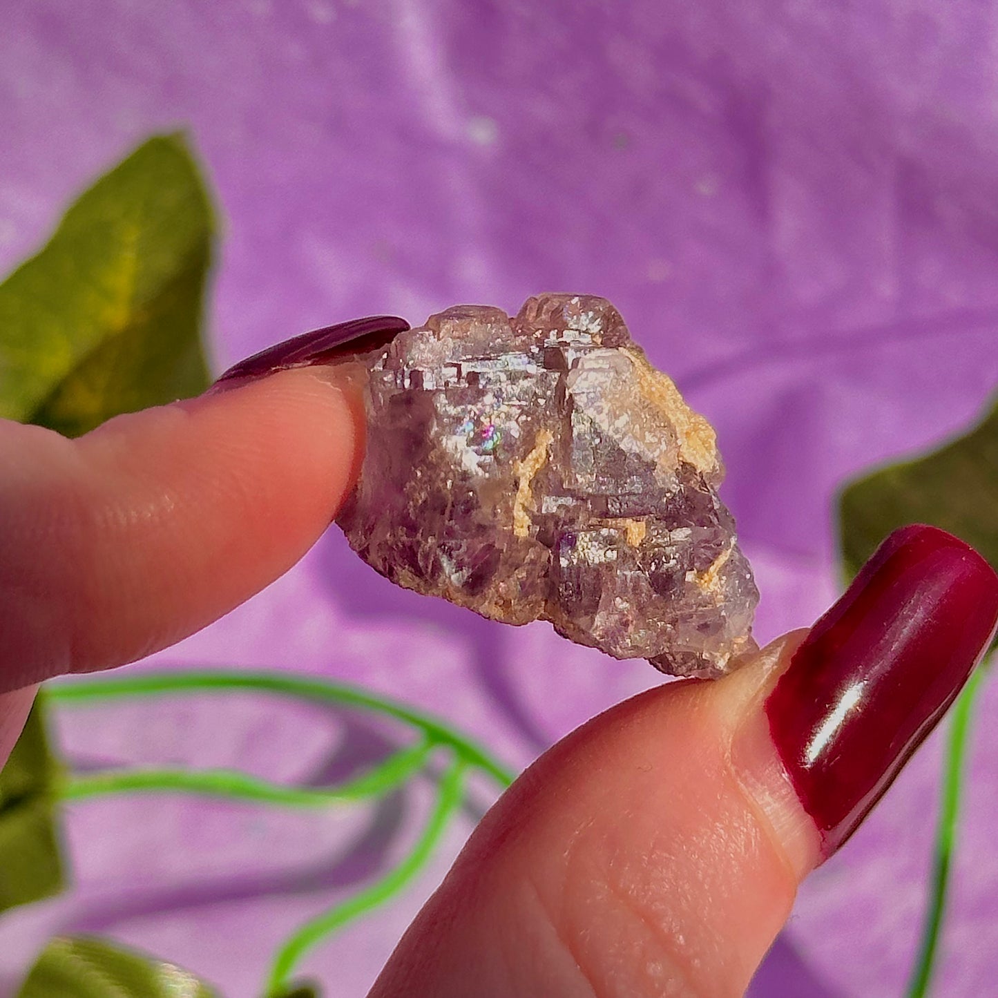 stalactitic UV cubic fluorite cluster specimen ~ choose your own
