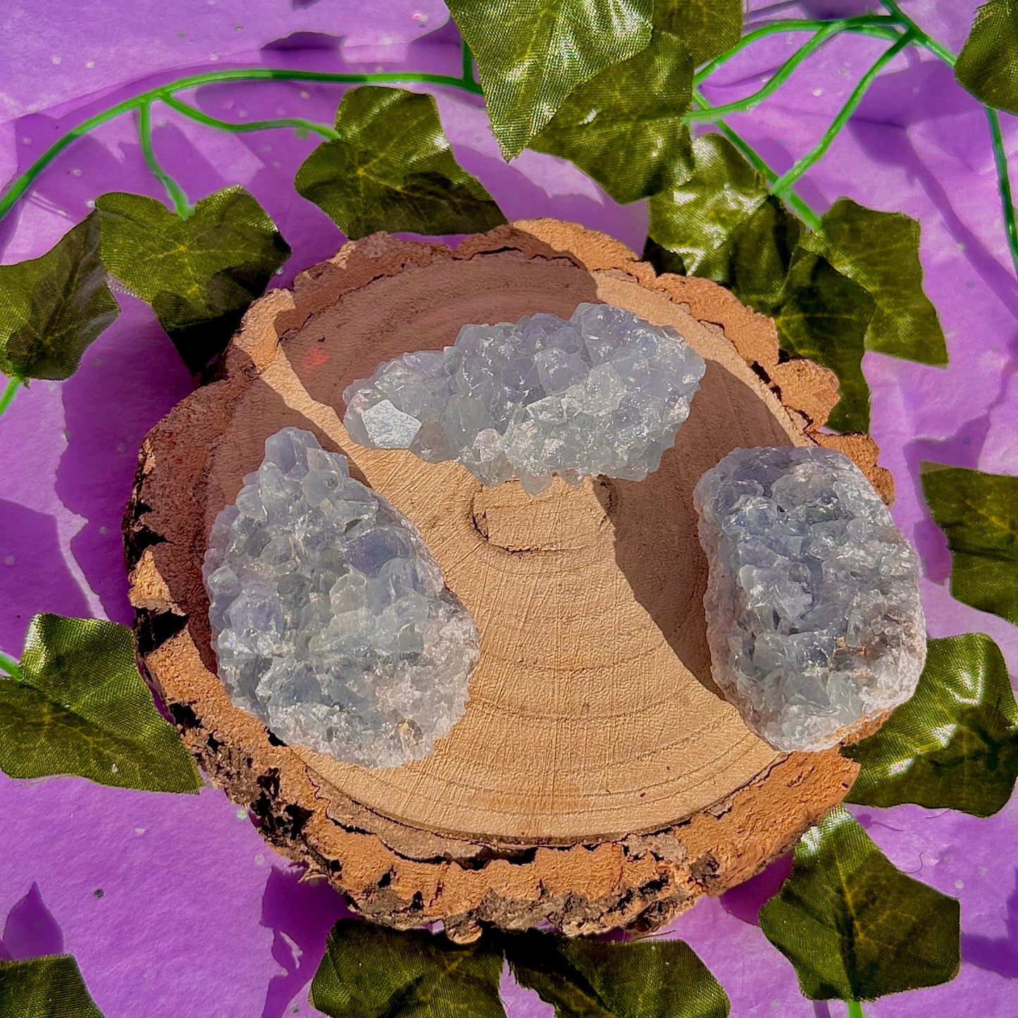 spécimen de grappe de célestine C
