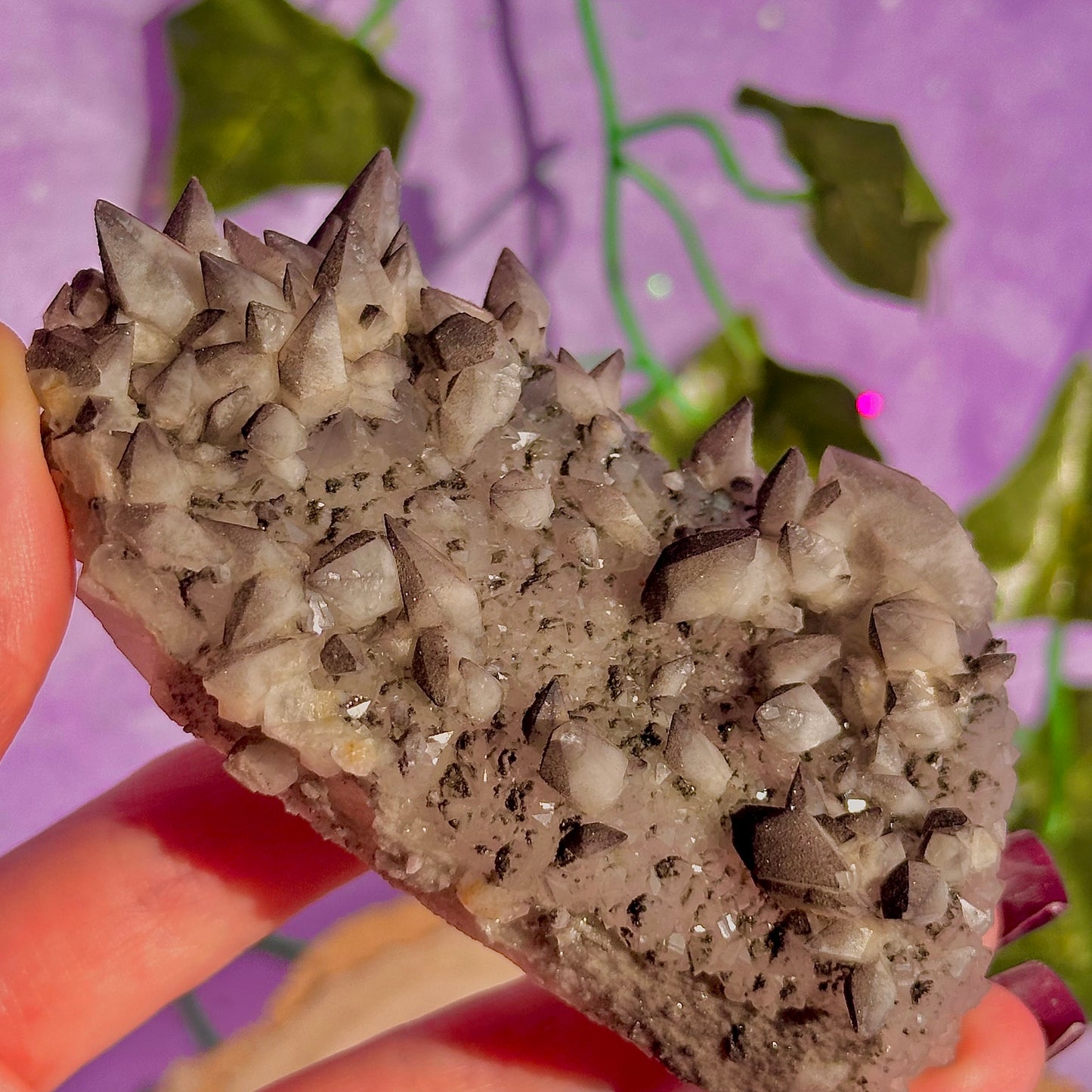 tigers tooth / dogs tooth calcite cluster specimen