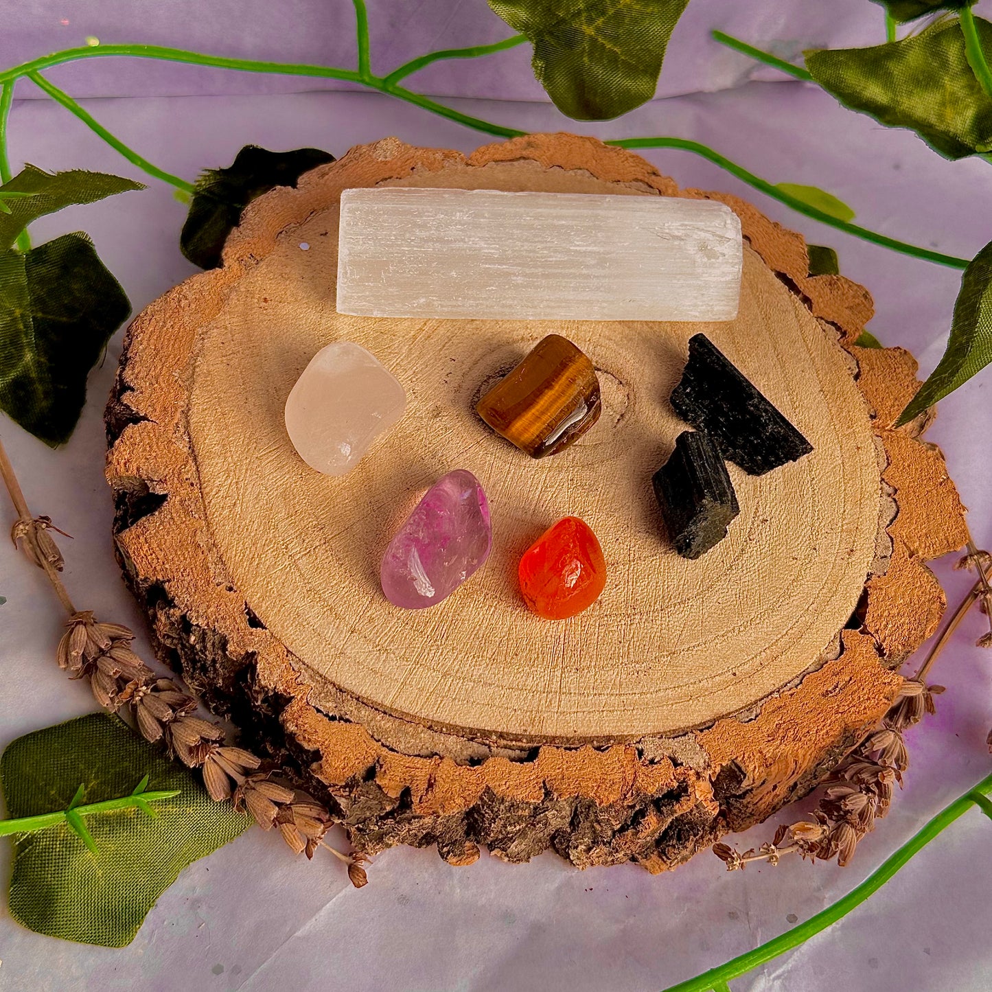 welcome newcomers bundle