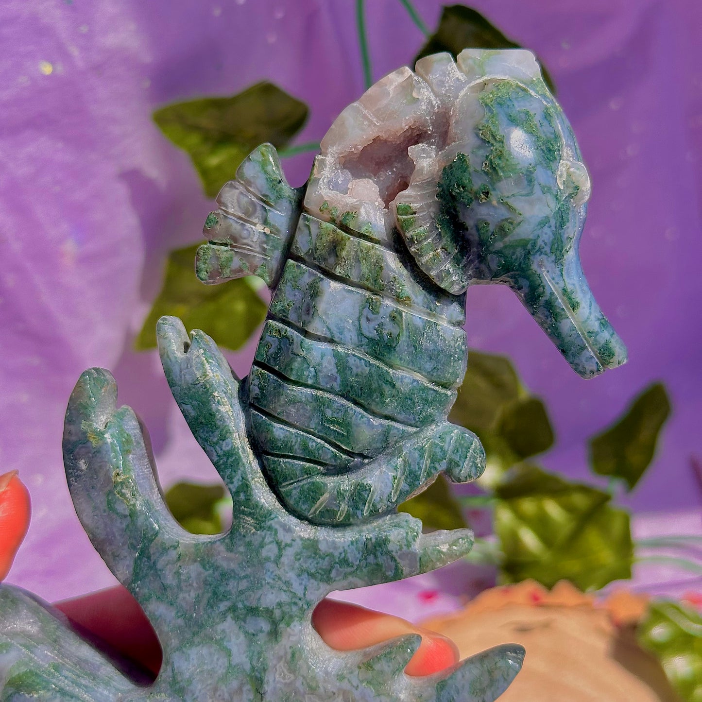 moss agate sea horse carving ~ self standing