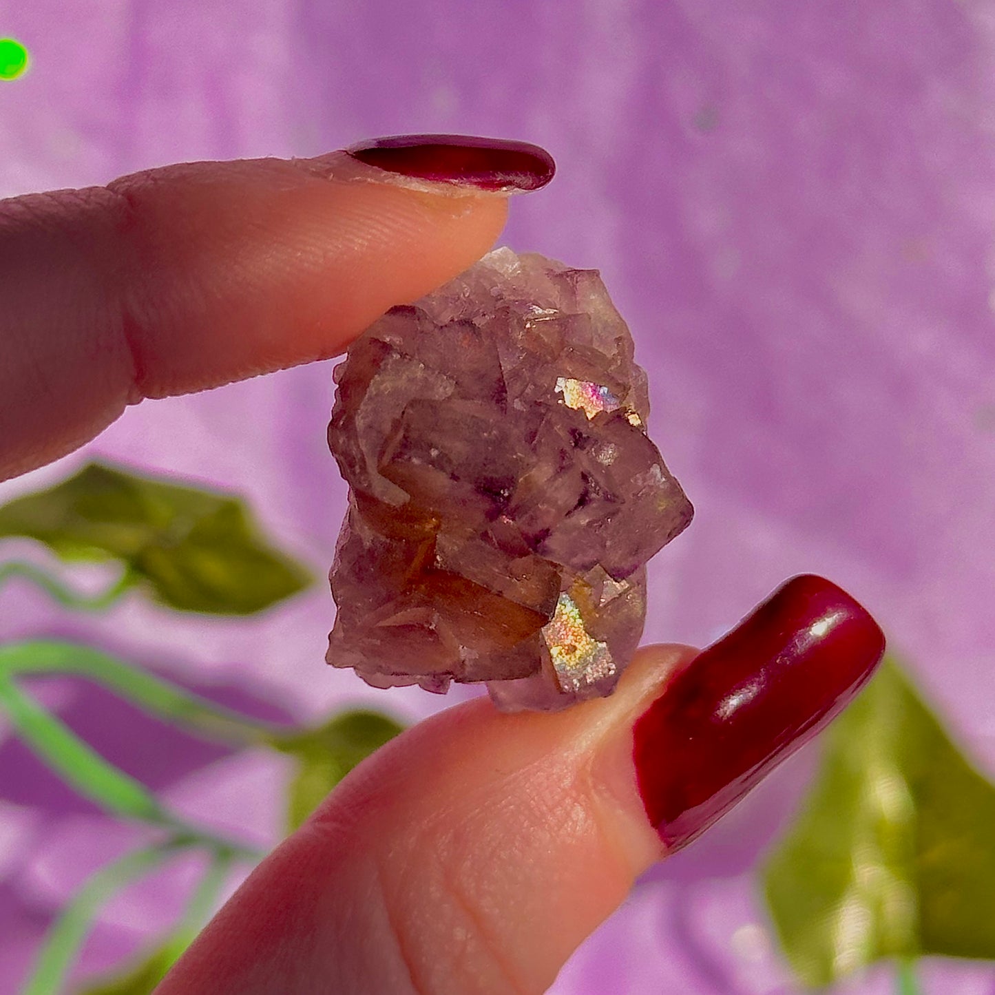 stalactitic UV cubic fluorite cluster specimen ~ choose your own