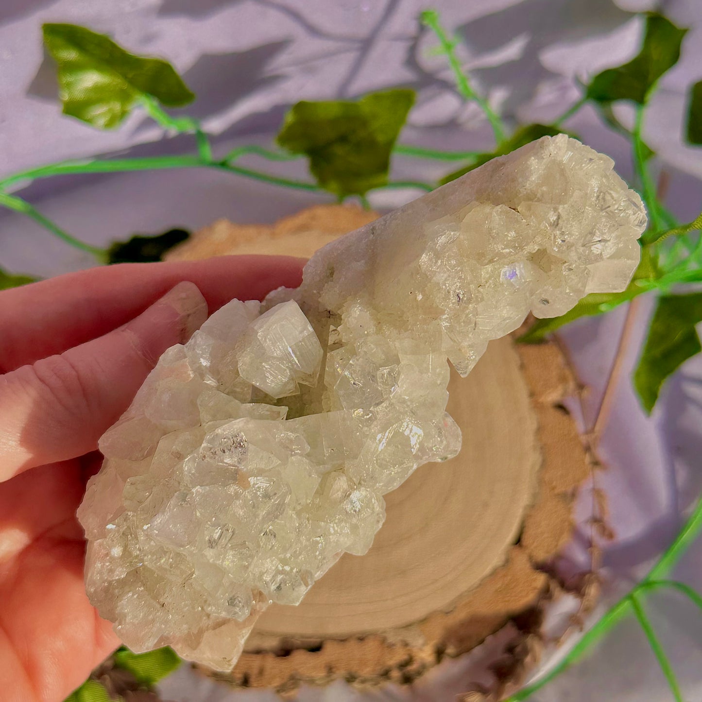 apophyllite specimen cluster
