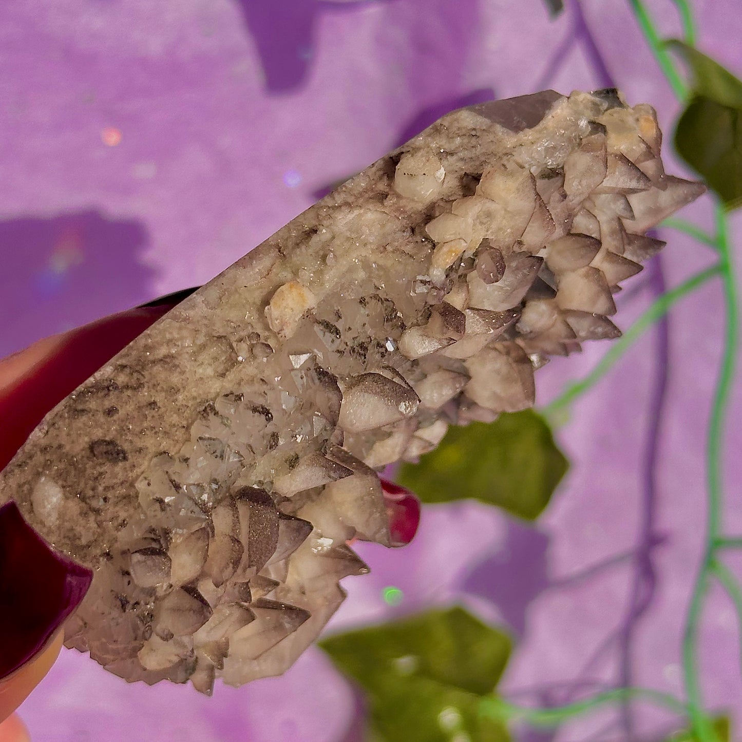 tigers tooth / dogs tooth calcite cluster specimen