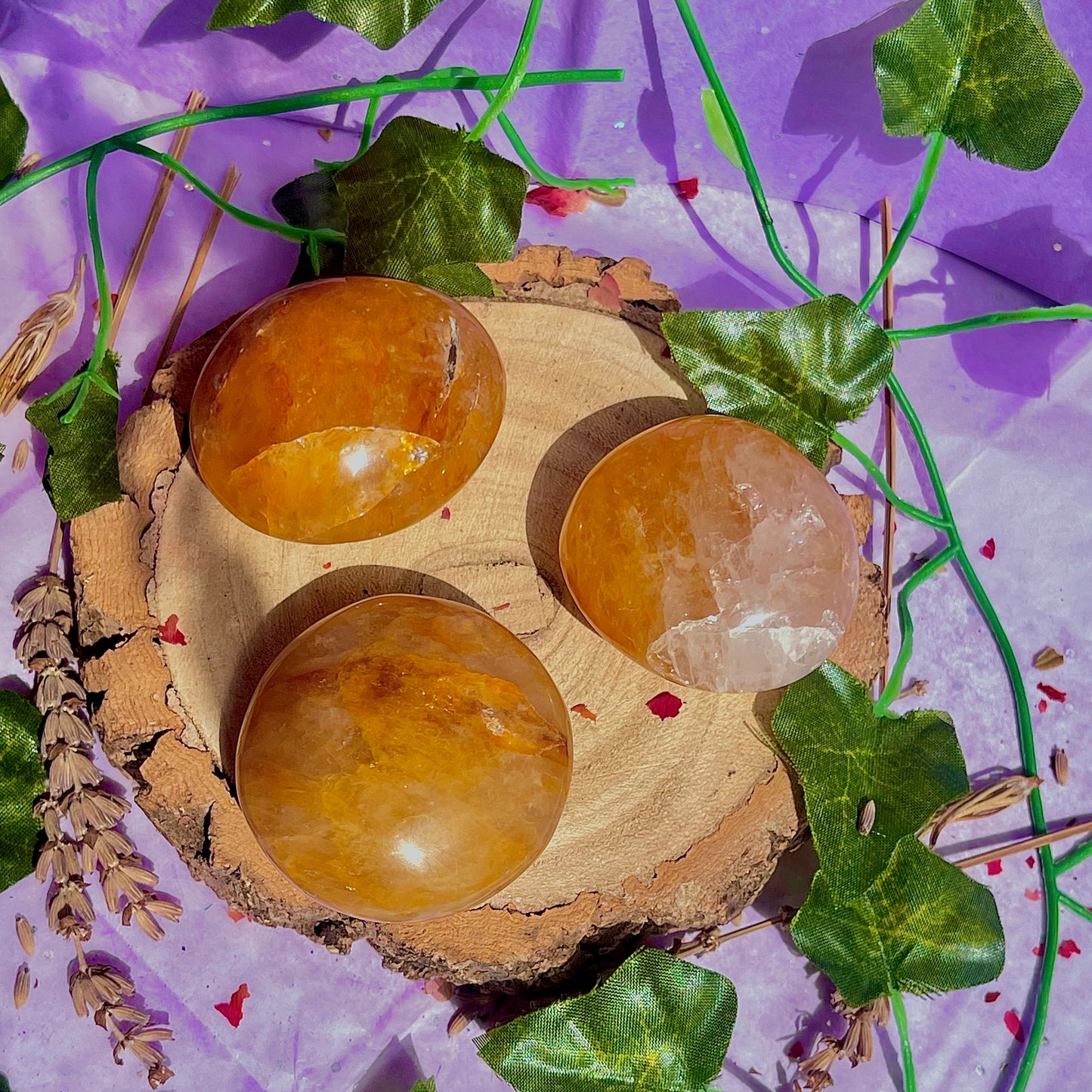golden healer palm stones ~ intuitively chosen
