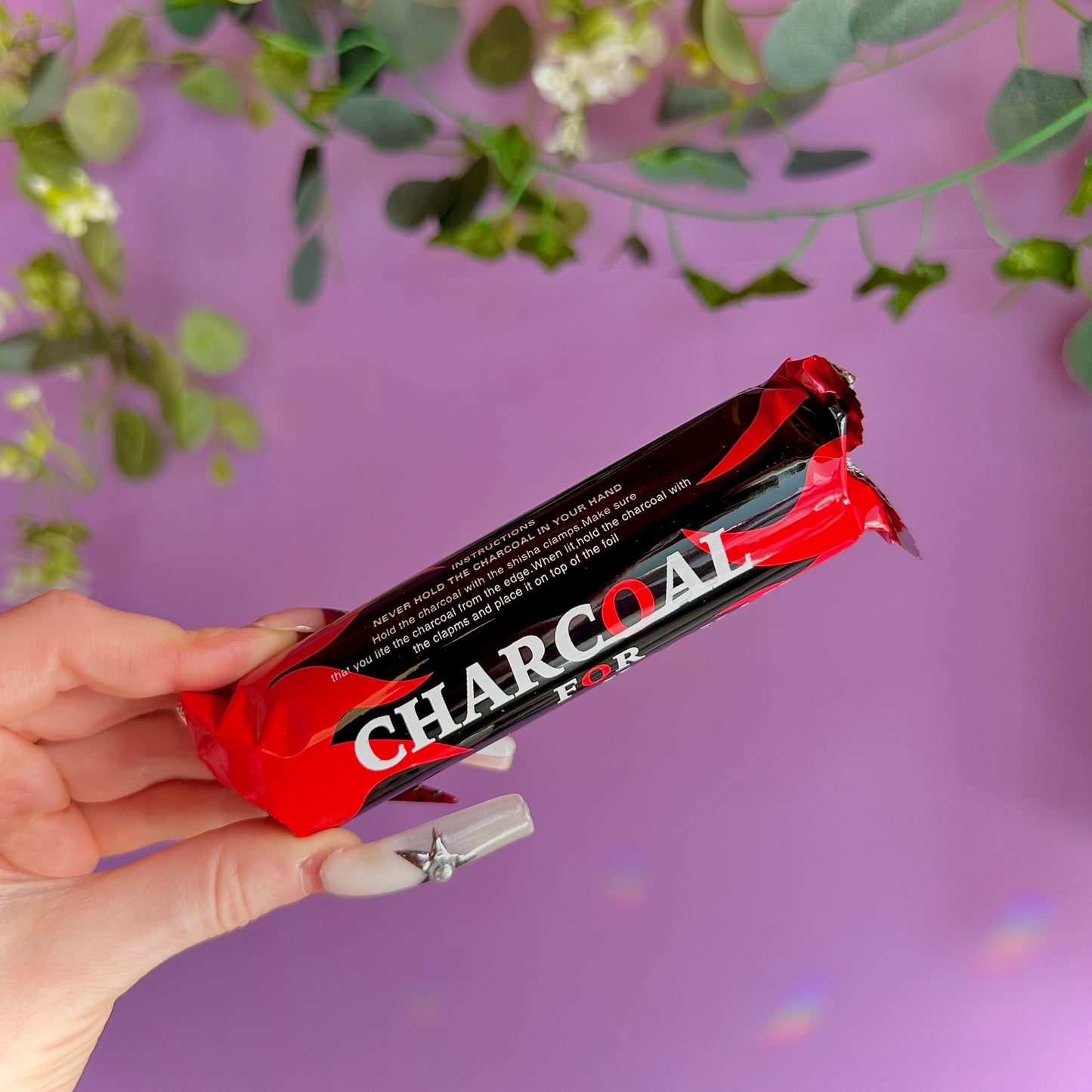 pack of 10 charcoal discs