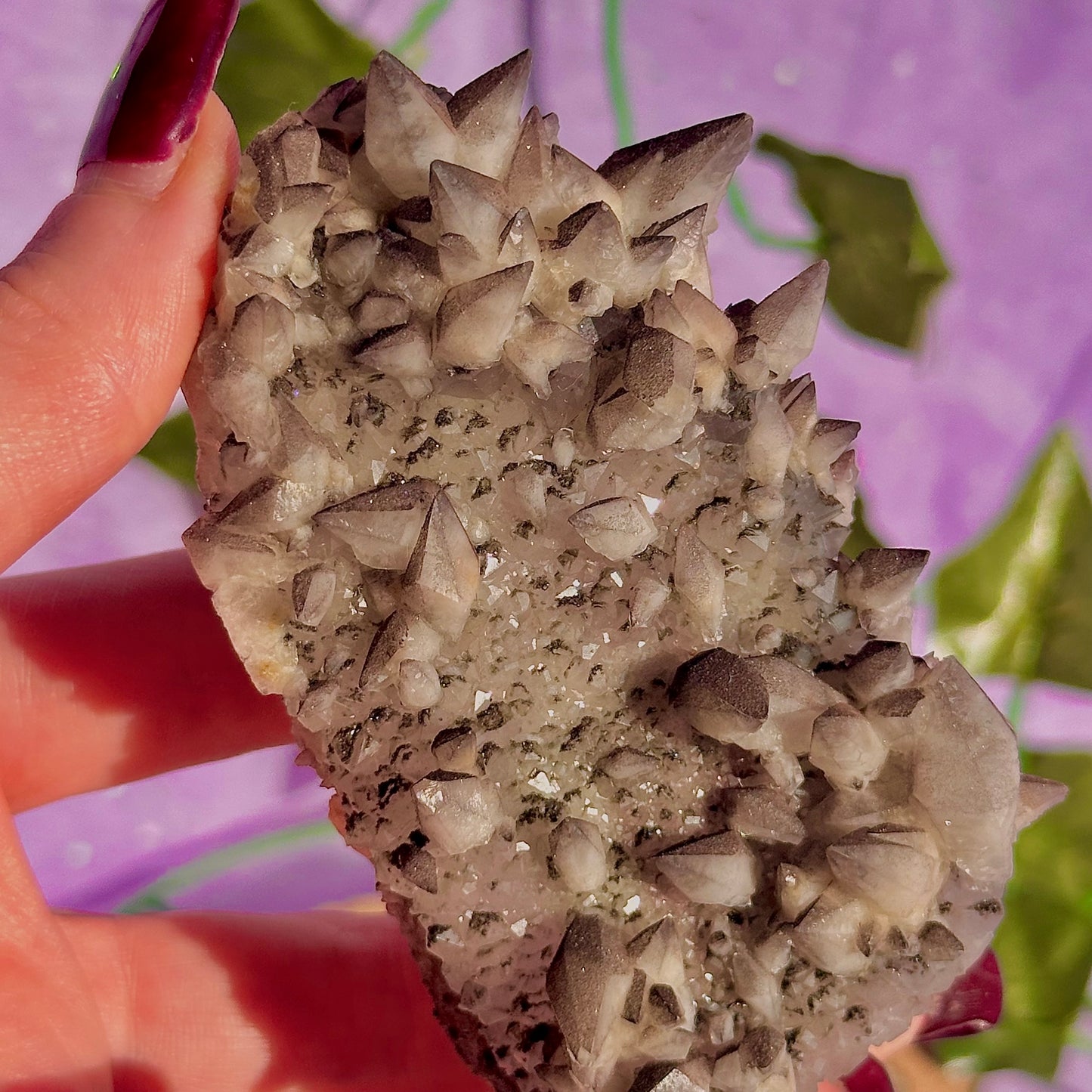 tigers tooth / dogs tooth calcite cluster specimen