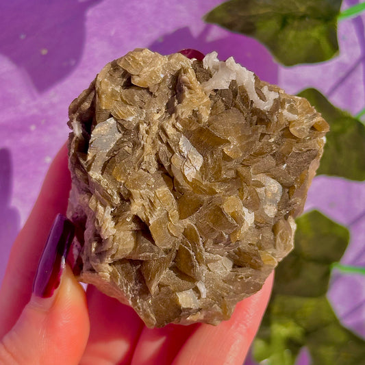 bladed siderite dragon scale cluster specimen