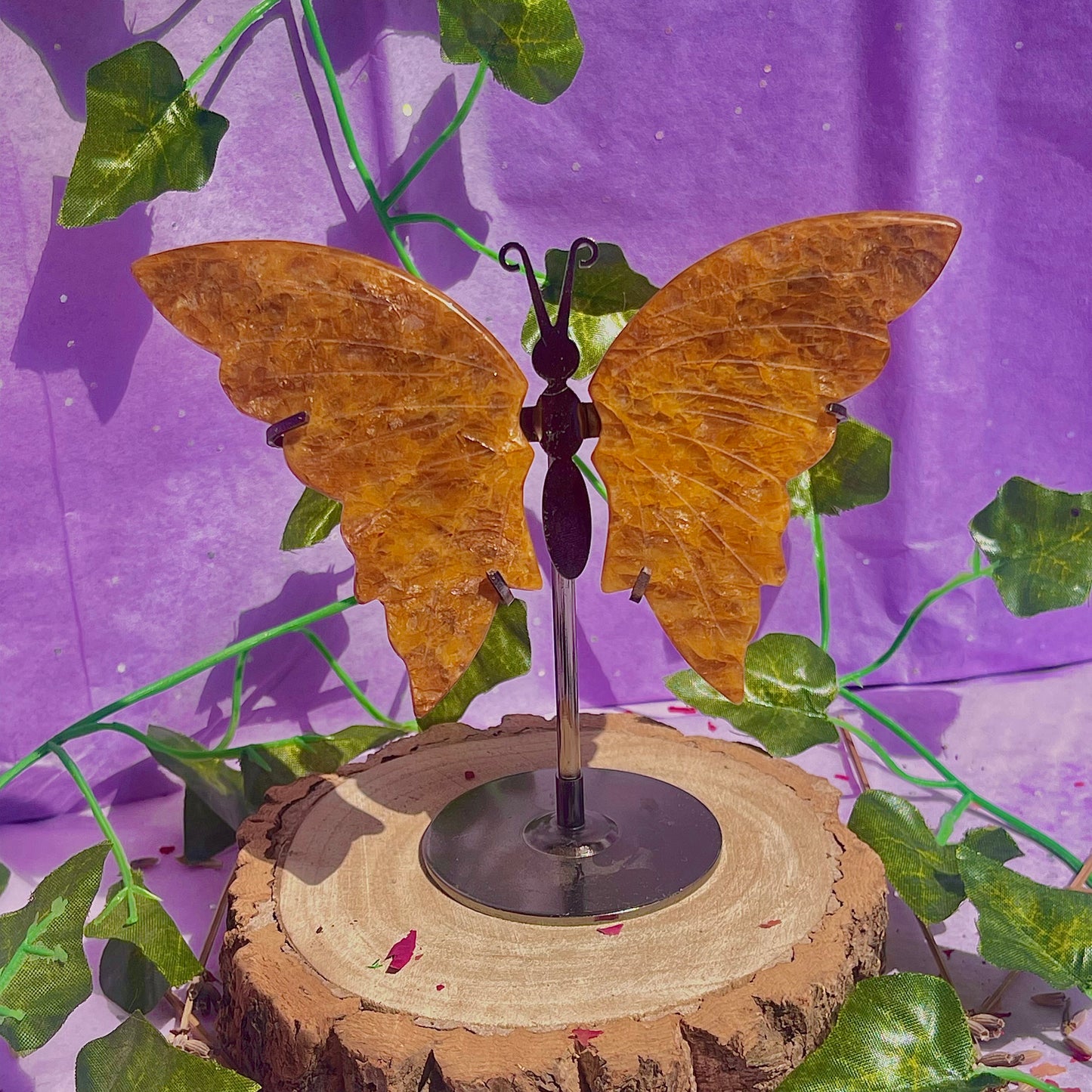 golden healer butterfly wings on stand