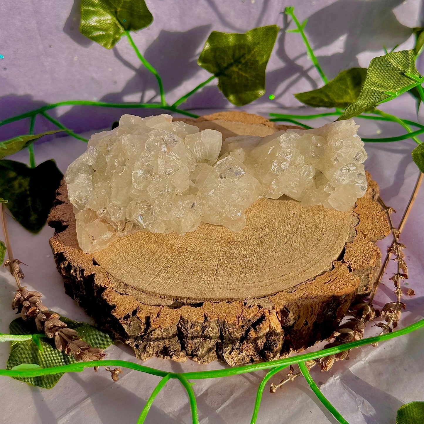 apophyllite specimen cluster
