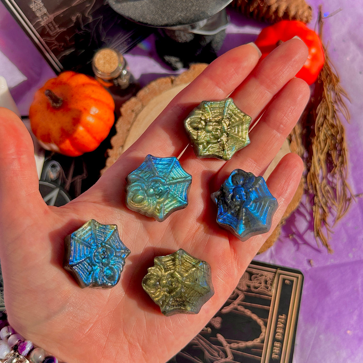 labradorite mini spider with carving ~ intuitively chosen