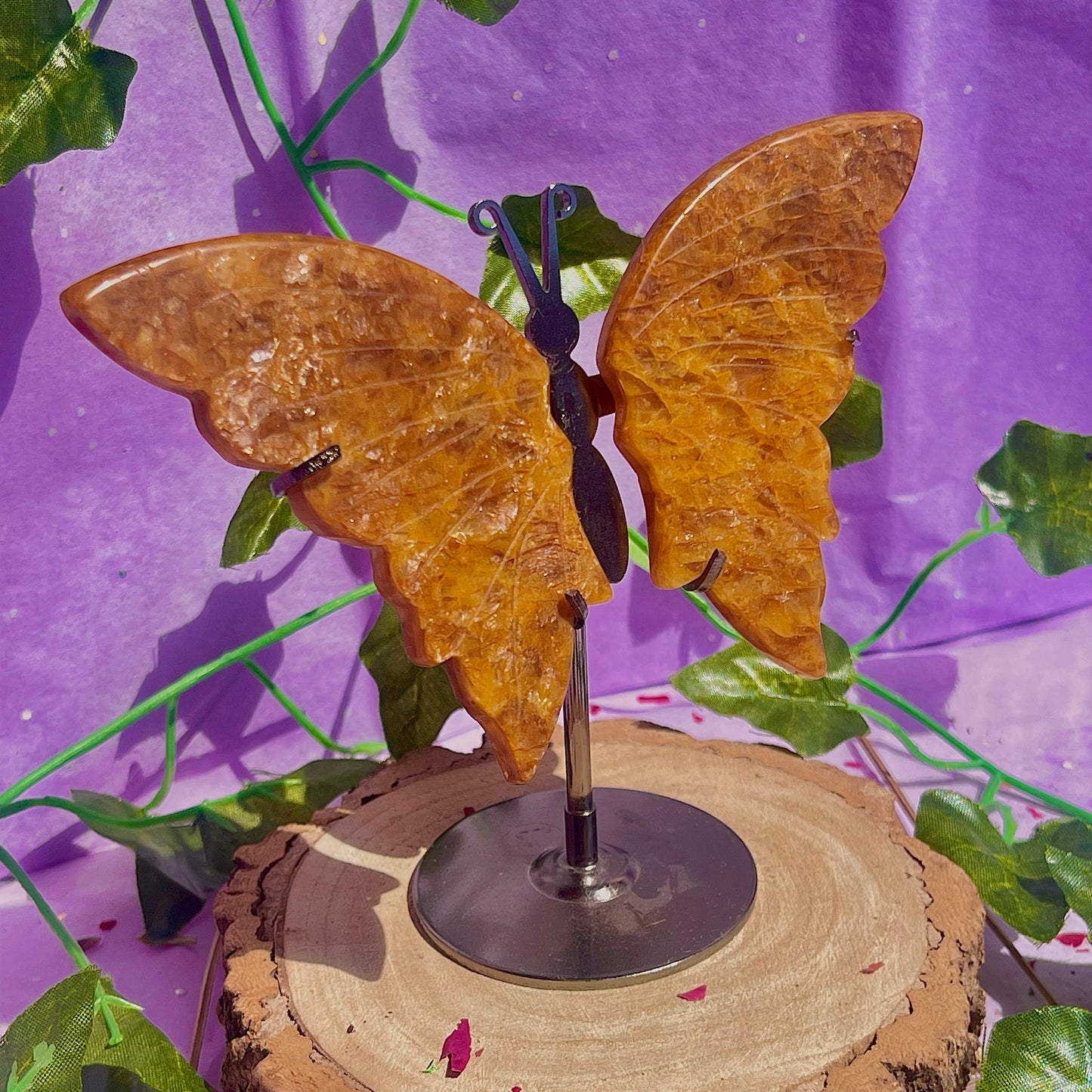 golden healer butterfly wings on stand